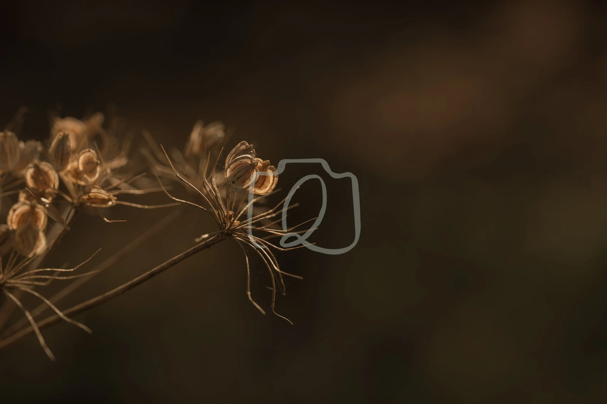 SPRING26_1003-Export WM-2.jpg