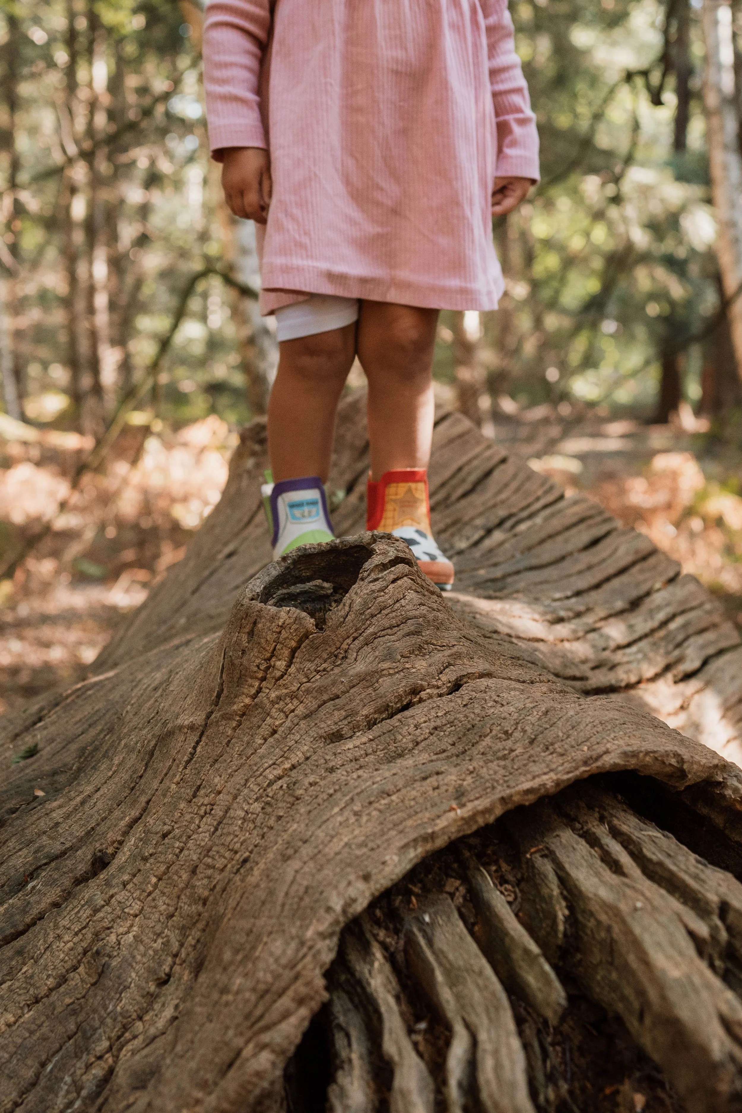 Child standing on a fallen tree trunk in the woods, wearing colorful sneakers and a pink dress.