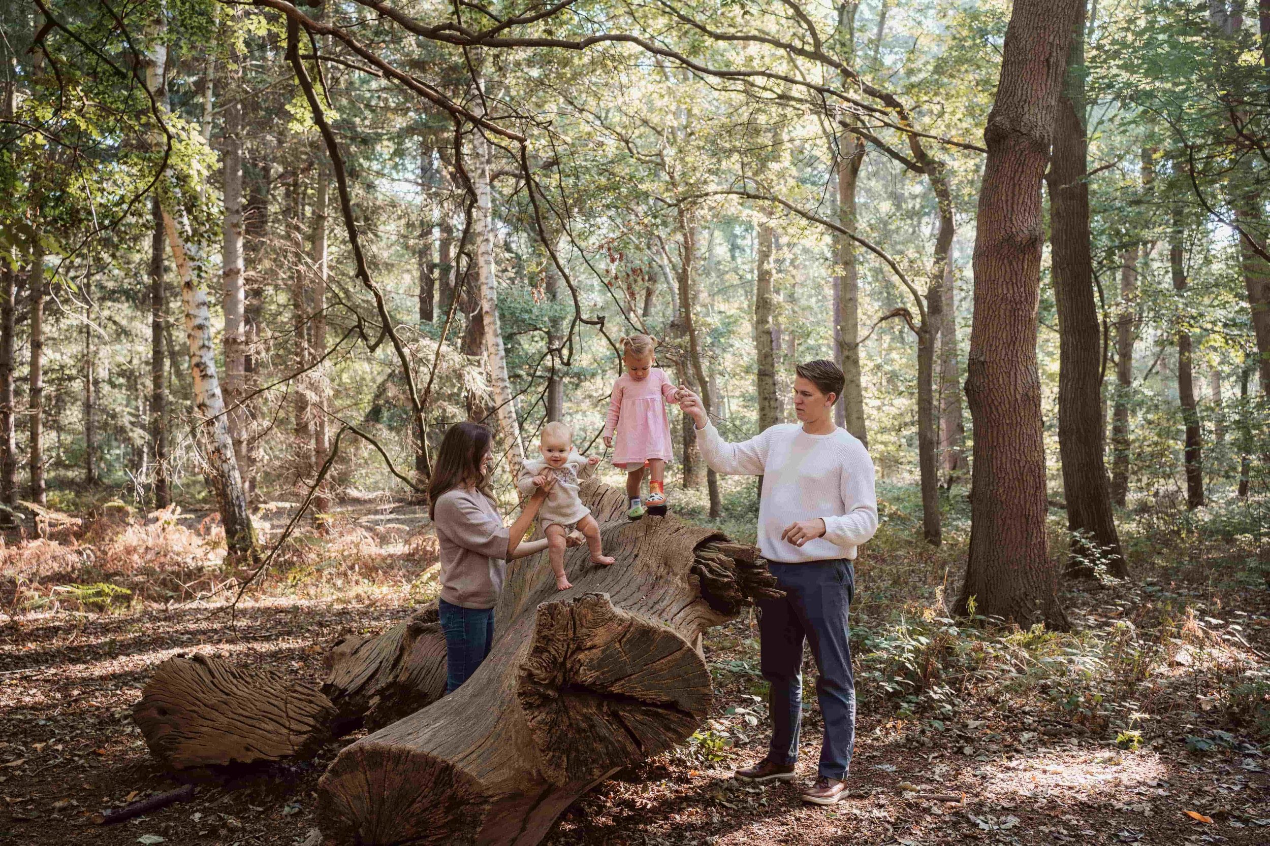 A family in a forest with tall trees and sunlight filtering through the leaves, two women holding children on a fallen tree log, with a man assisting and observing.