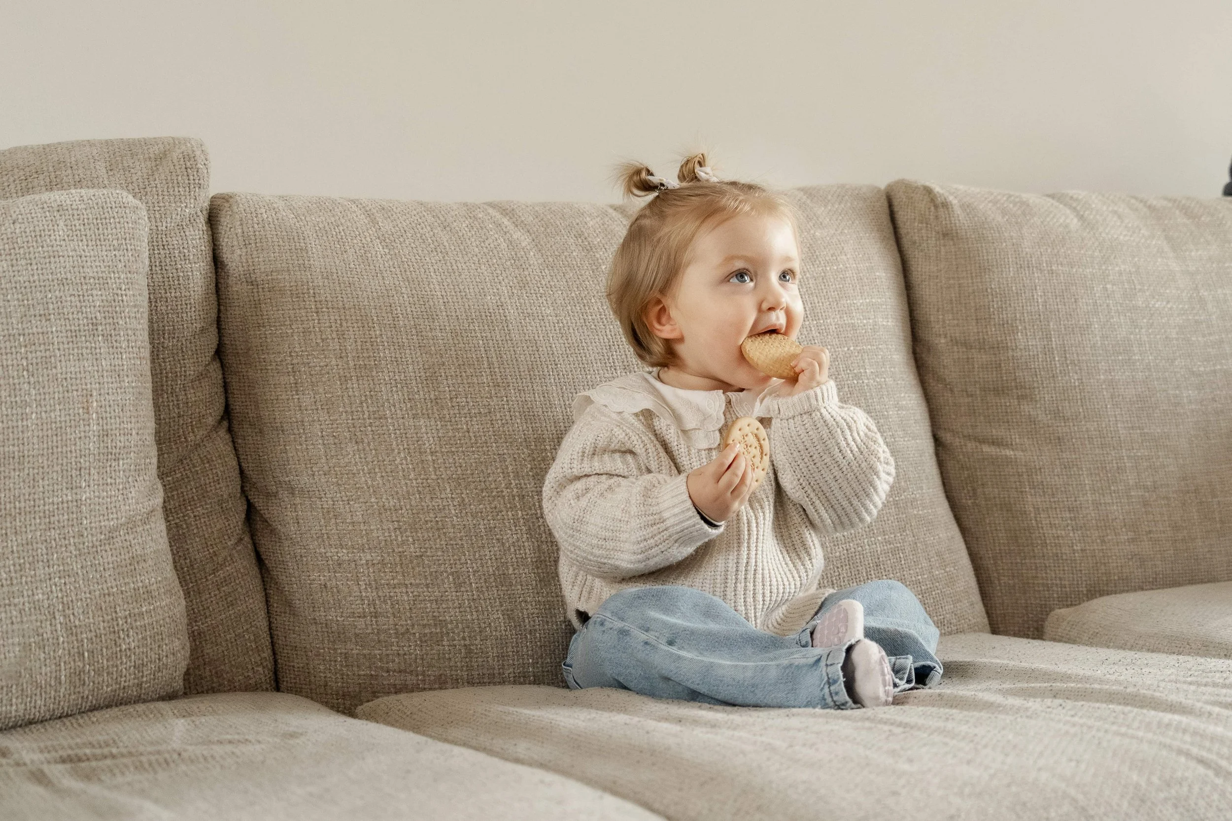 A young girl with blonde hair in two small ponytails is sitting on a beige sofa, eating a cookie and holding another in her hand. She is wearing a cream-colored sweater with ruffles and blue jeans.