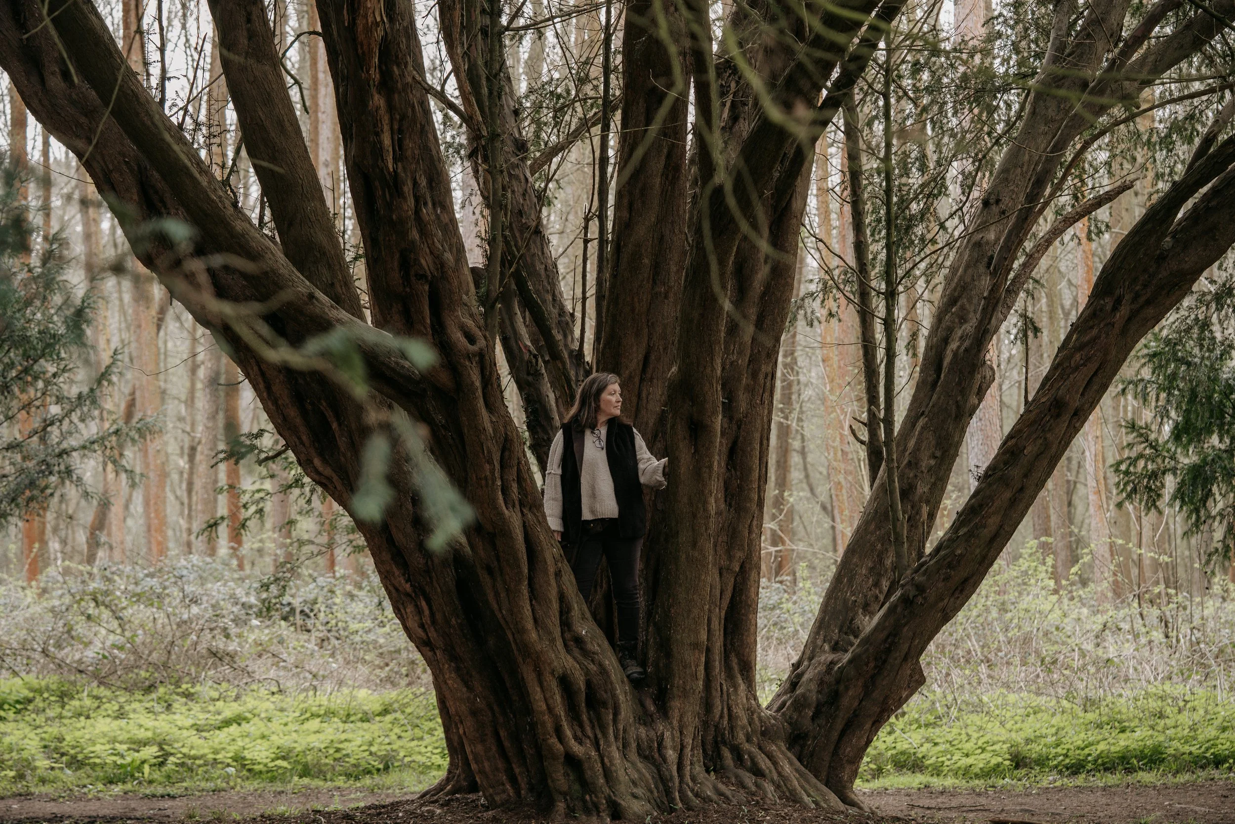 A woman is sitting on a large tree trunk in a forest, with green foliage and multiple trees in the background.