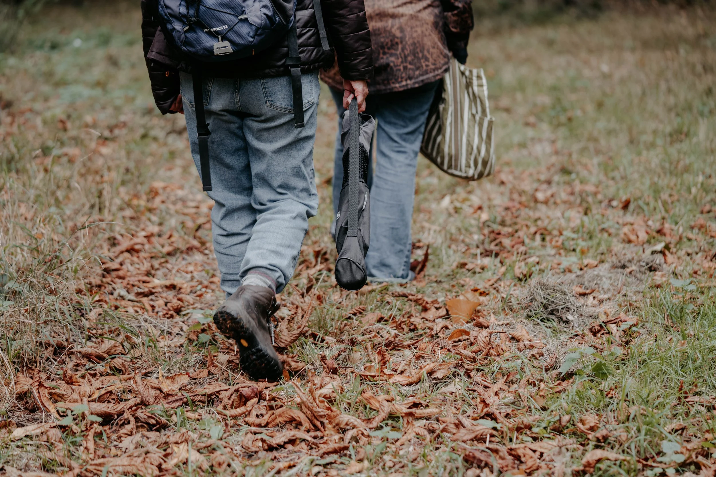 Two people walking through a leaf-covered forest trail, carrying bags and a tripod.
