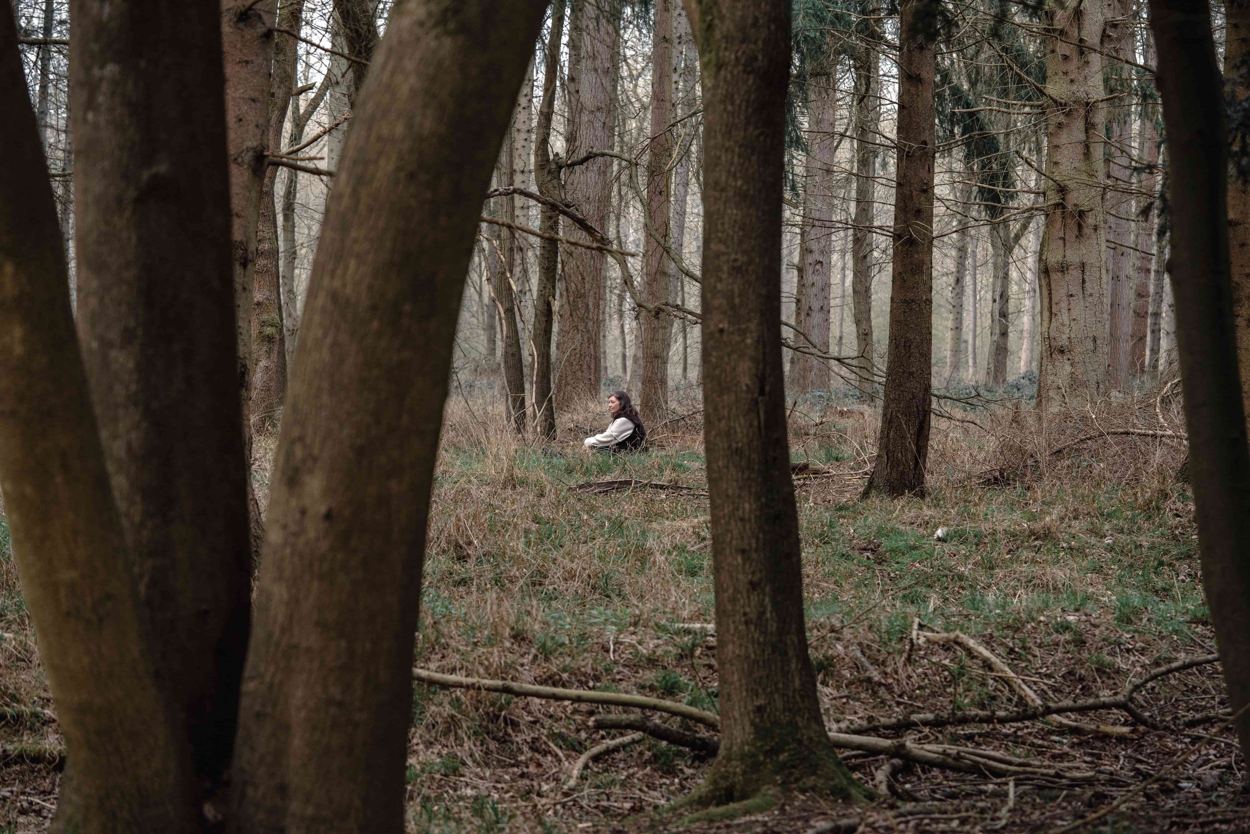 A woman sitting on the ground in a forest surrounded by tall trees and sparse foliage.