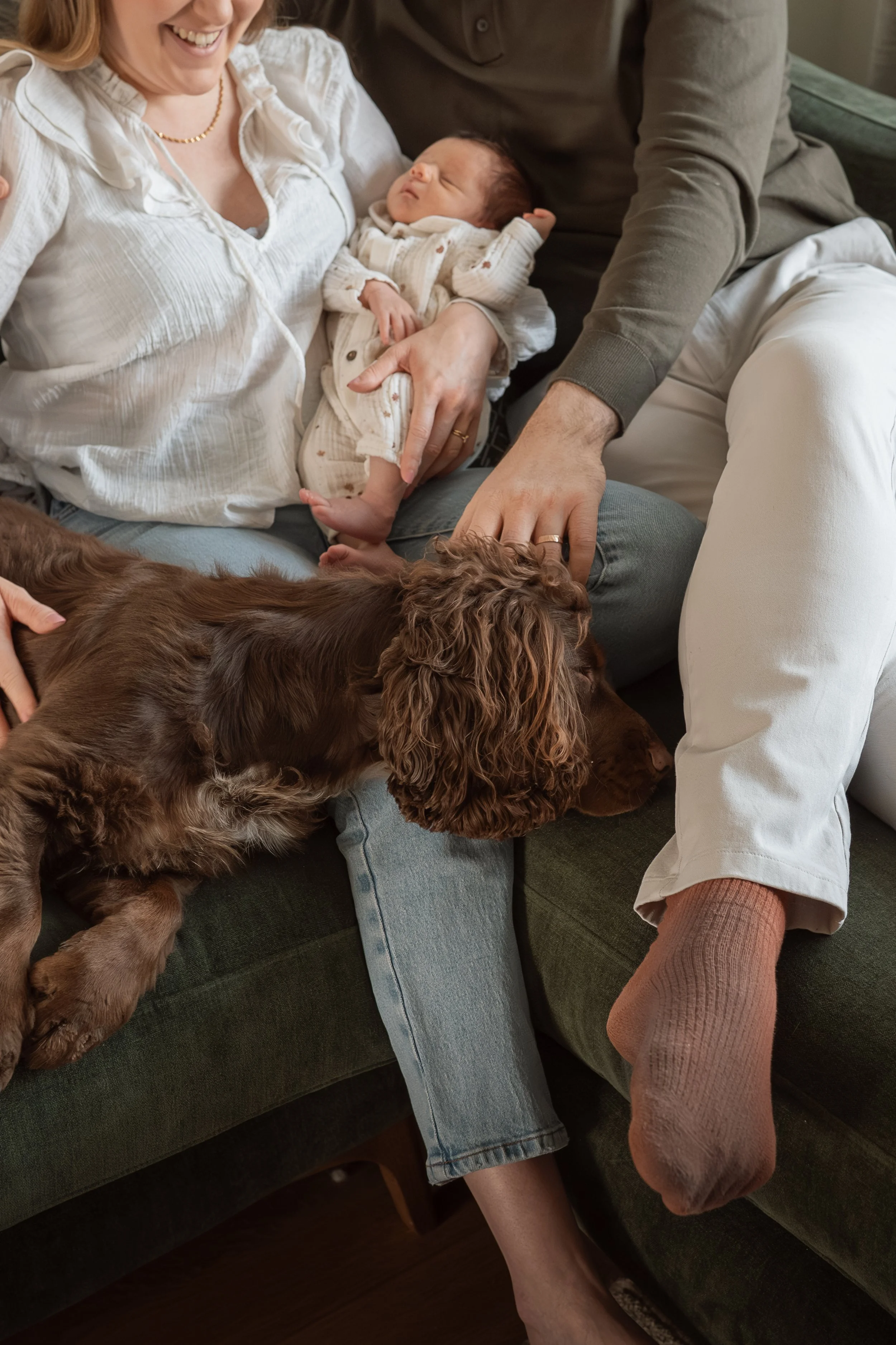 Family sitting on sofa with a newborn baby, a brown dog lying down, and family members touching the baby and dog.