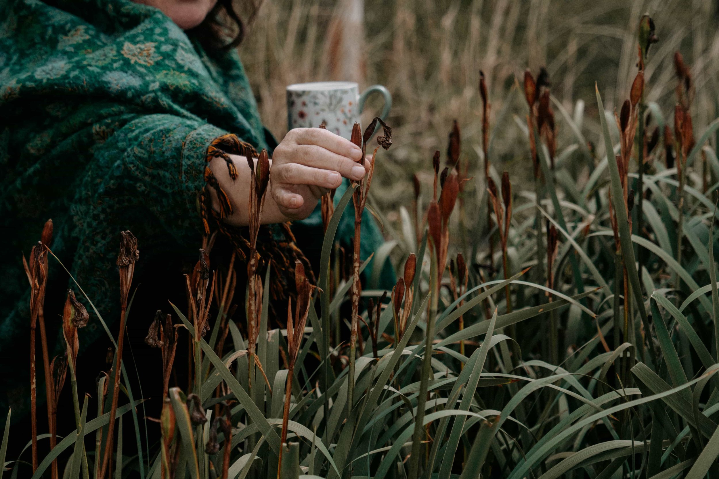 A person wearing a patterned green jacket holding a dried plant in a field of tall, dried plants, with a white mug with floral patterns in the background.
