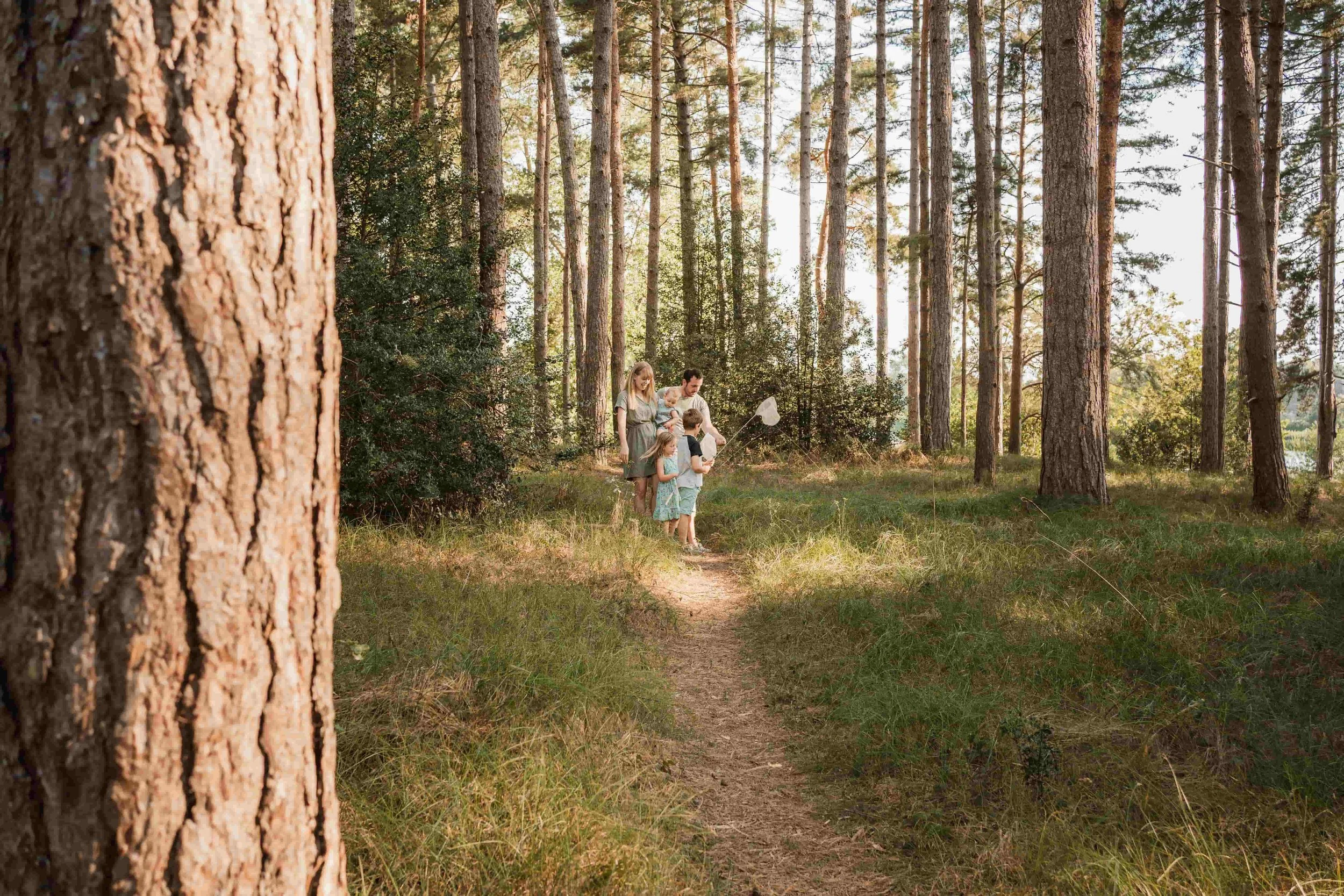 Family of five, including parents and children, walking on a dirt trail in a dense forest of tall pine trees, with sunlight filtering through the branches.