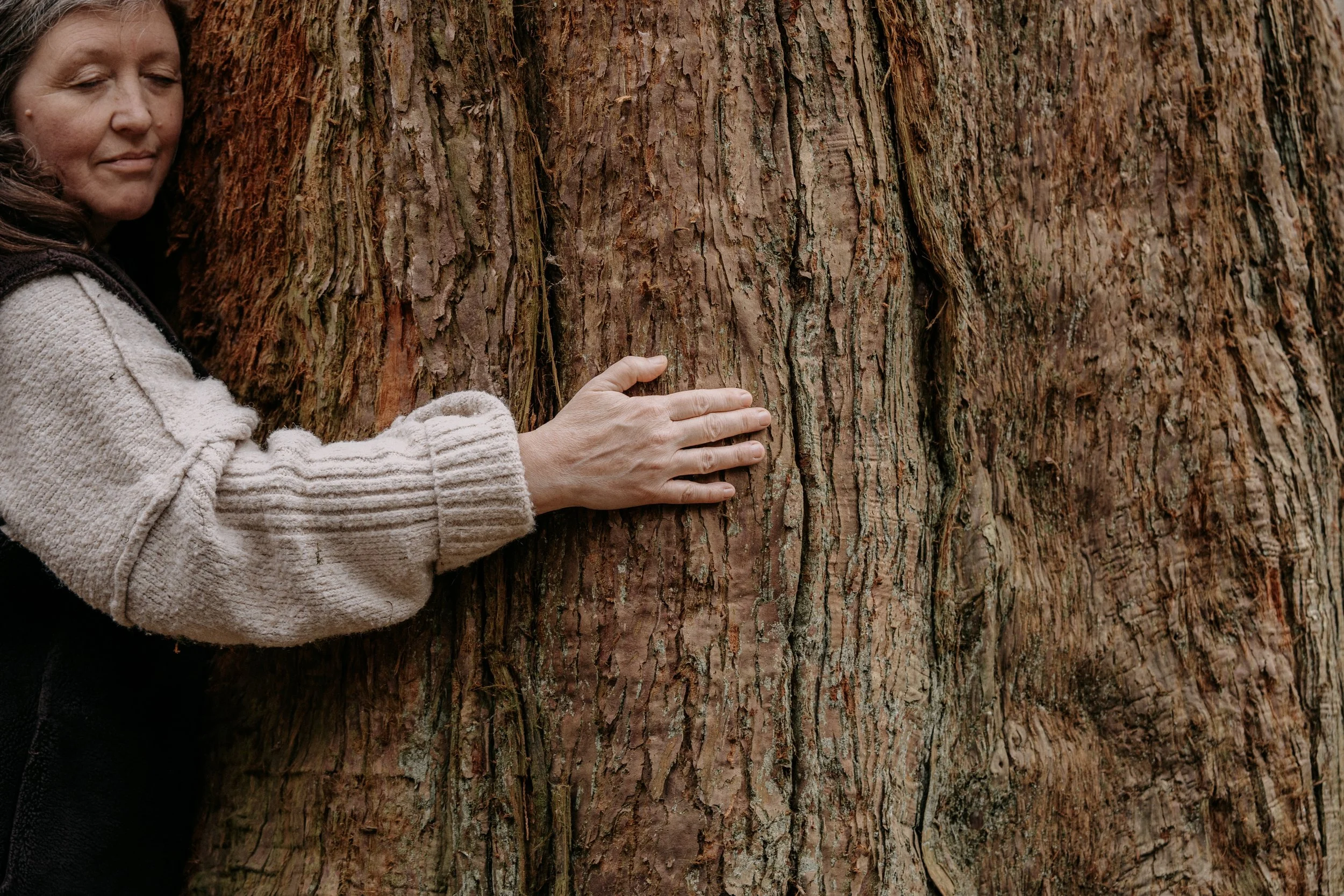 A woman with closed eyes, wearing a beige sweater, embracing and touching the large trunk of a redwood tree in a forest.