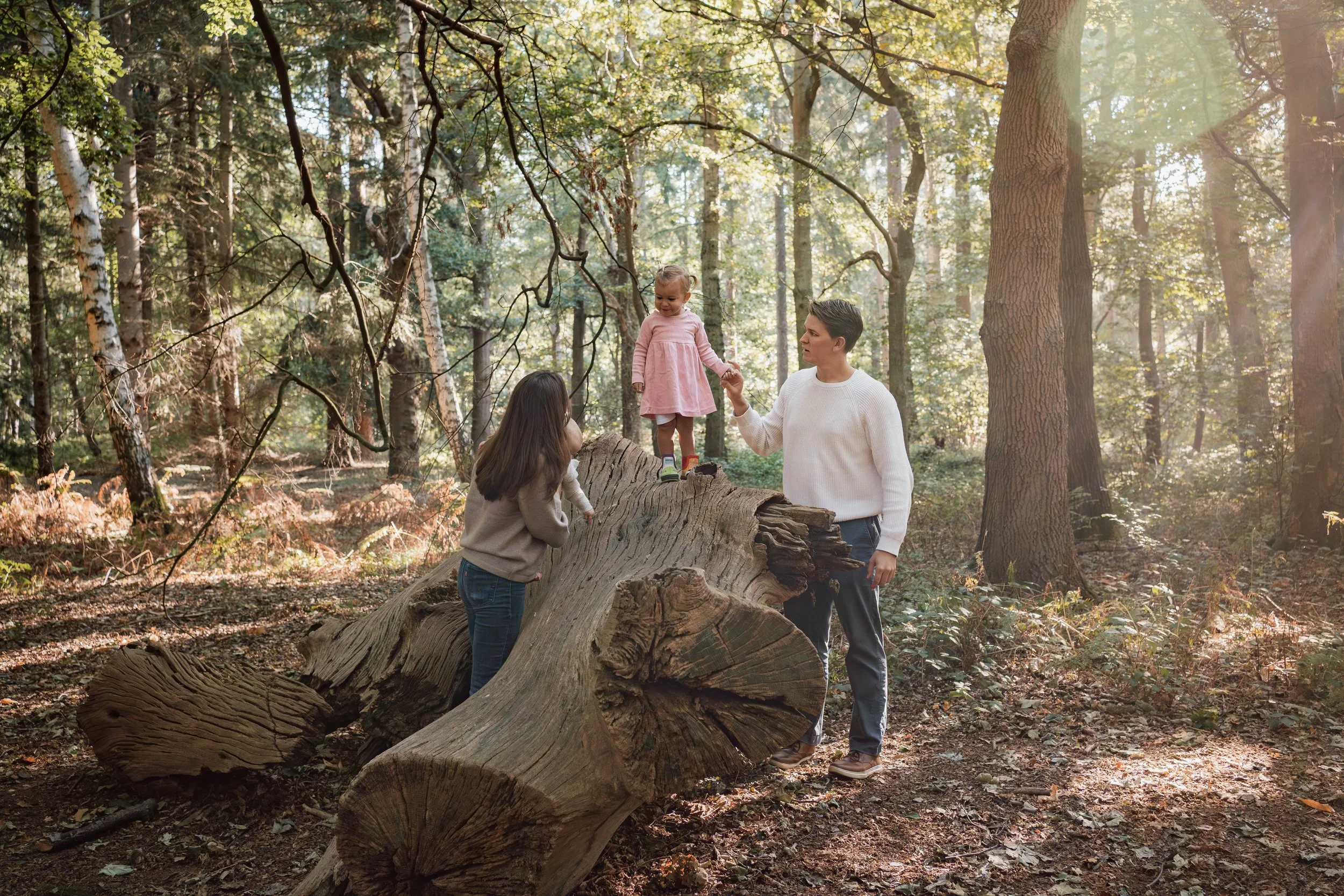 A family with two women and a young girl in a pink dress enjoying time in a sunlit forest, standing on a large fallen tree.