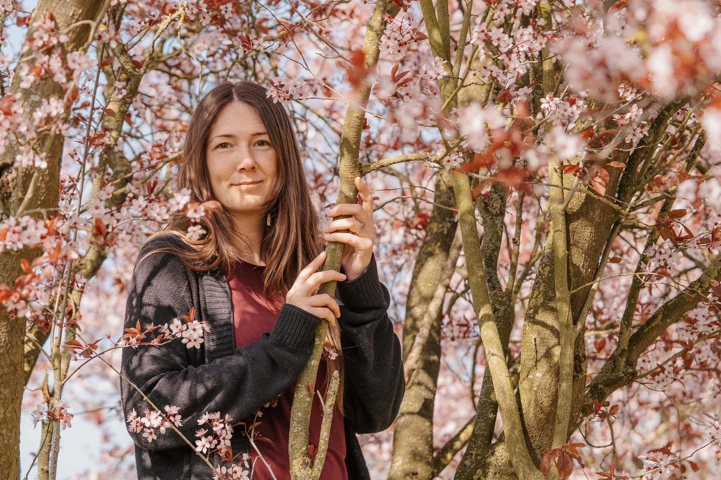 A woman with long brown hair and a dark jacket standing among pink cherry blossoms on a tree during spring.