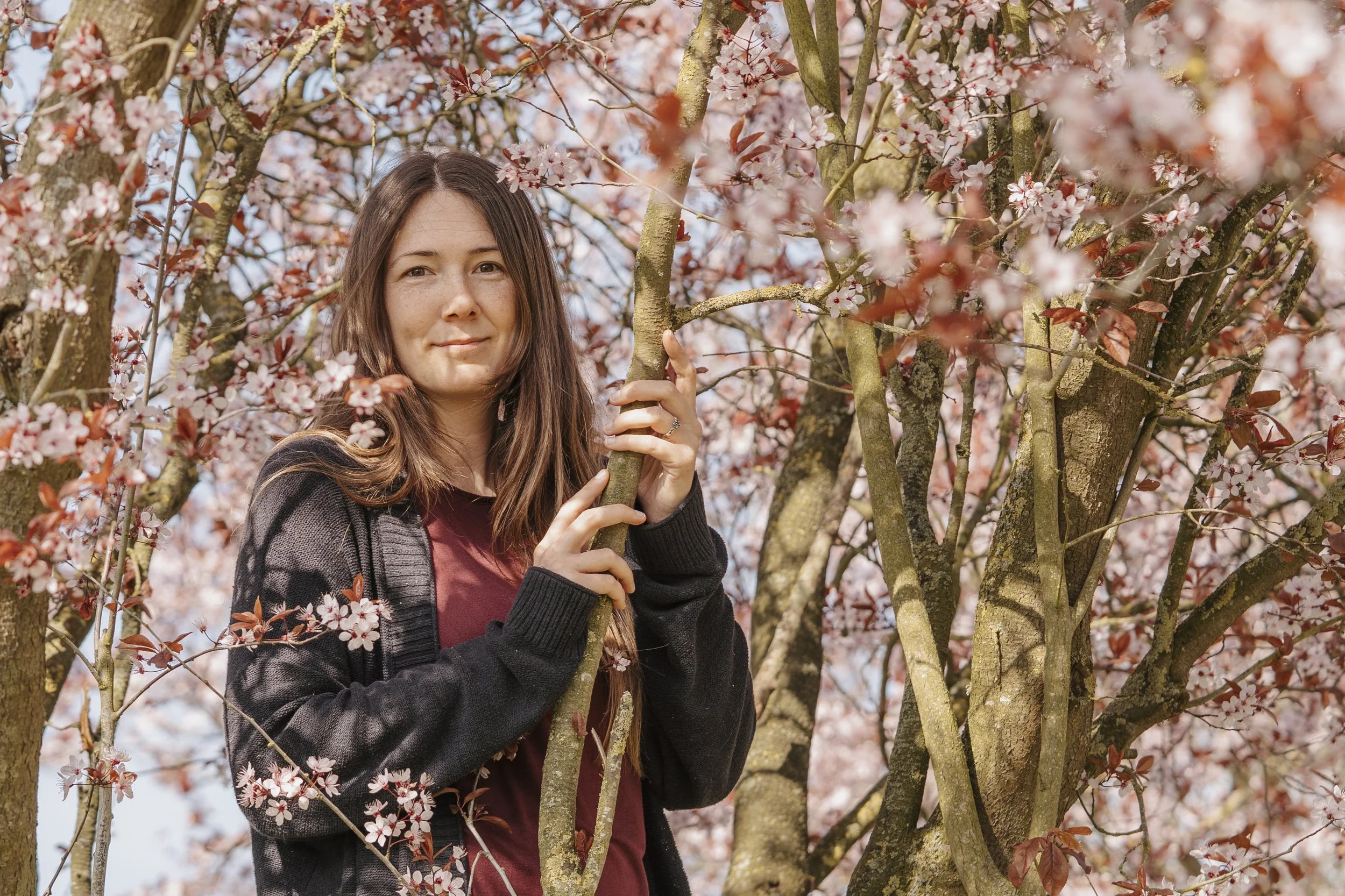 A woman with brown hair and a dark red shirt among blooming pink cherry blossom trees.