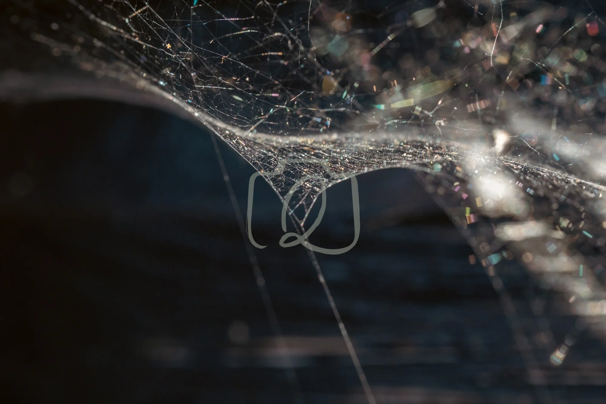 SPRING26_1302-Export WM-2.jpg