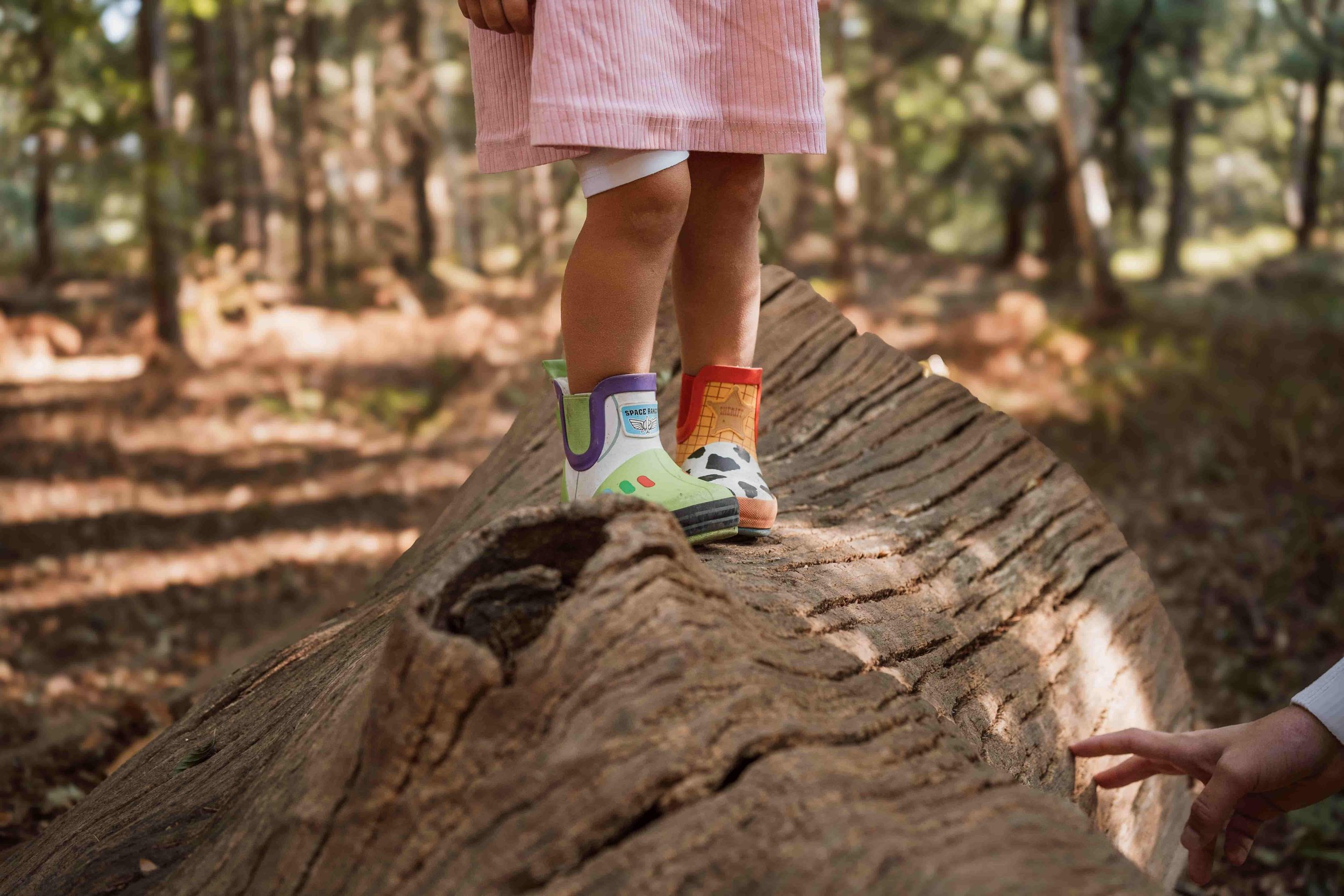 Children balancing on a large fallen tree trunk in a forest.