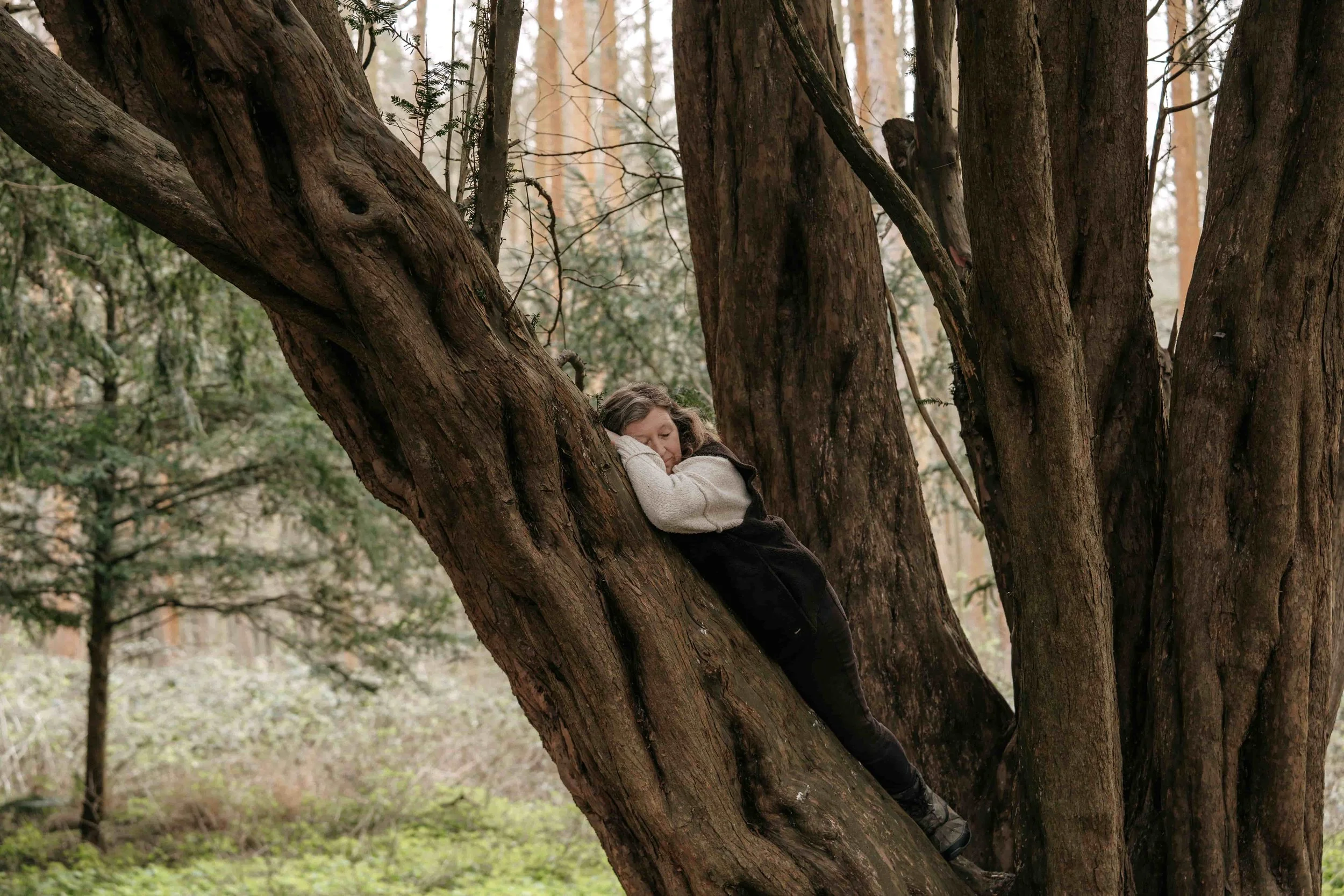 A young girl with long hair, resting on a tree branch in a forest during daytime.