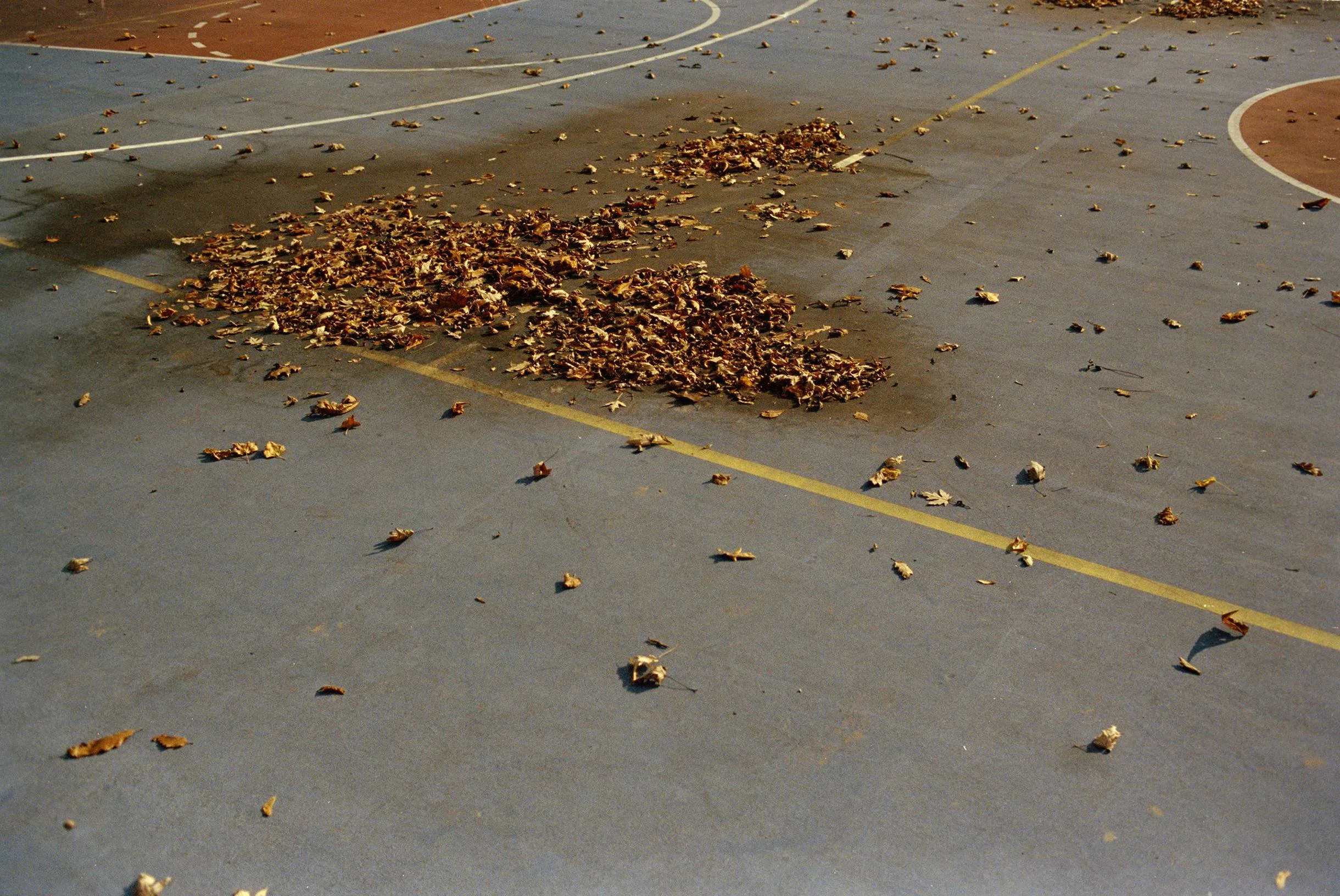 An empty outdoor basketball court with fallen leaves scattered across it during autumn.