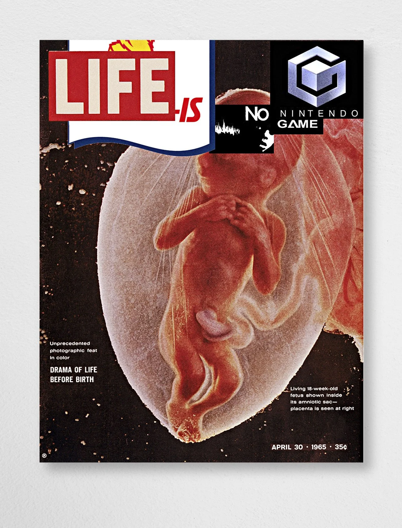 The cover of Life magazine featuring a color photograph of a 18-week-old fetus inside the uterus, with text indicating it is a drama of life before birth. The magazine date is April 30, 1965, and the price is 35 cents.