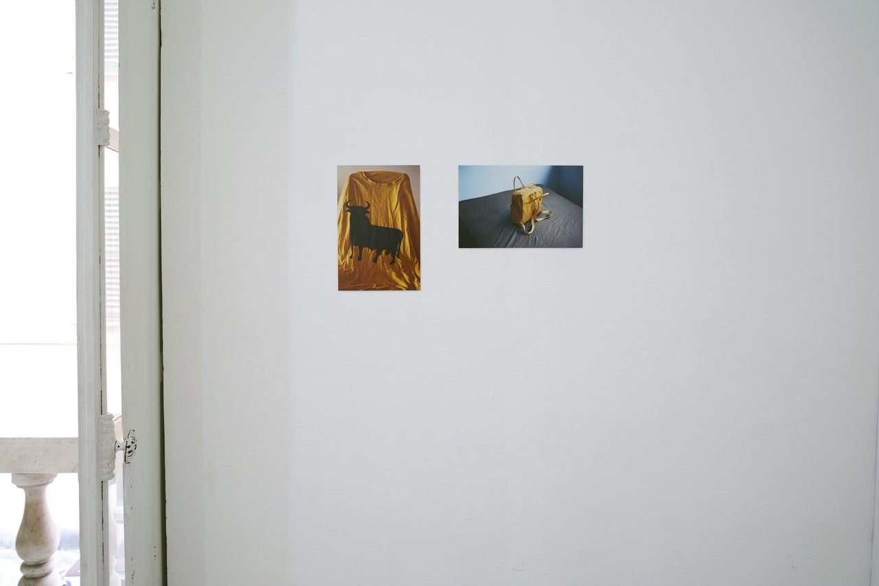 Two photographs hung on a plain white wall. The left photo features a black silhouette of a bull on a yellow t-shirt known from Elephant by Gus van Sant. The right photo shows a yellow Fjällräven backpack with a gray surface background. Space 4235, G