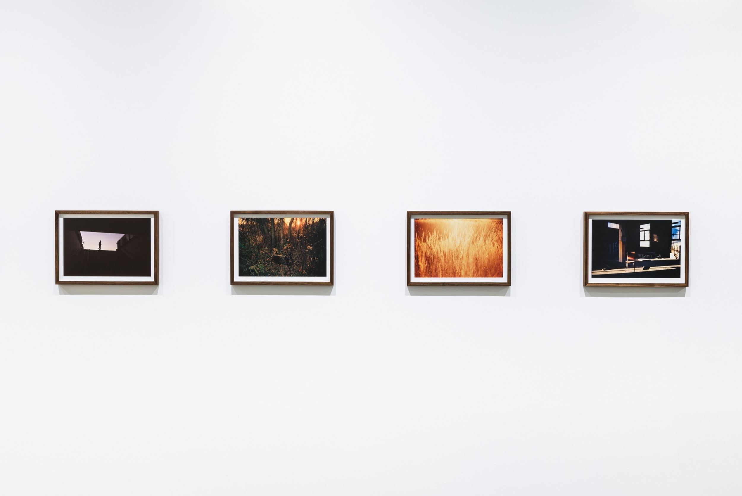 Four framed photographs on a white wall, featuring a person at sunset, a forest, a field of tall grass, and an indoor scene with a window.
