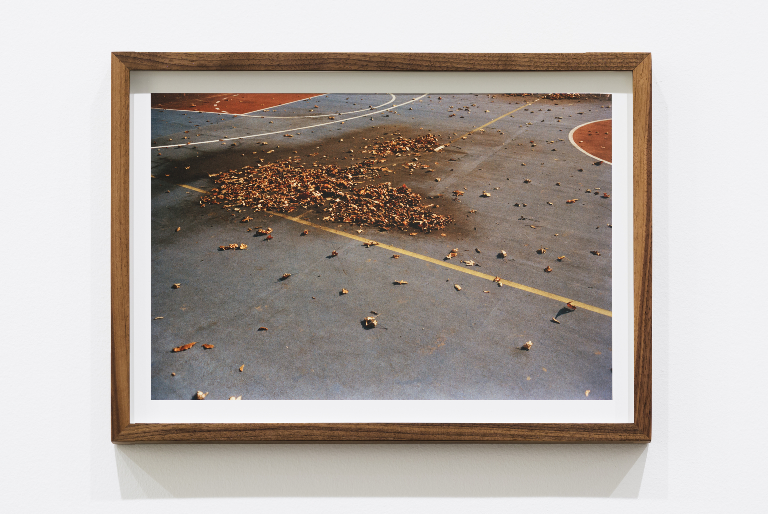 Empty outdoor basketball court covered with fallen leaves.