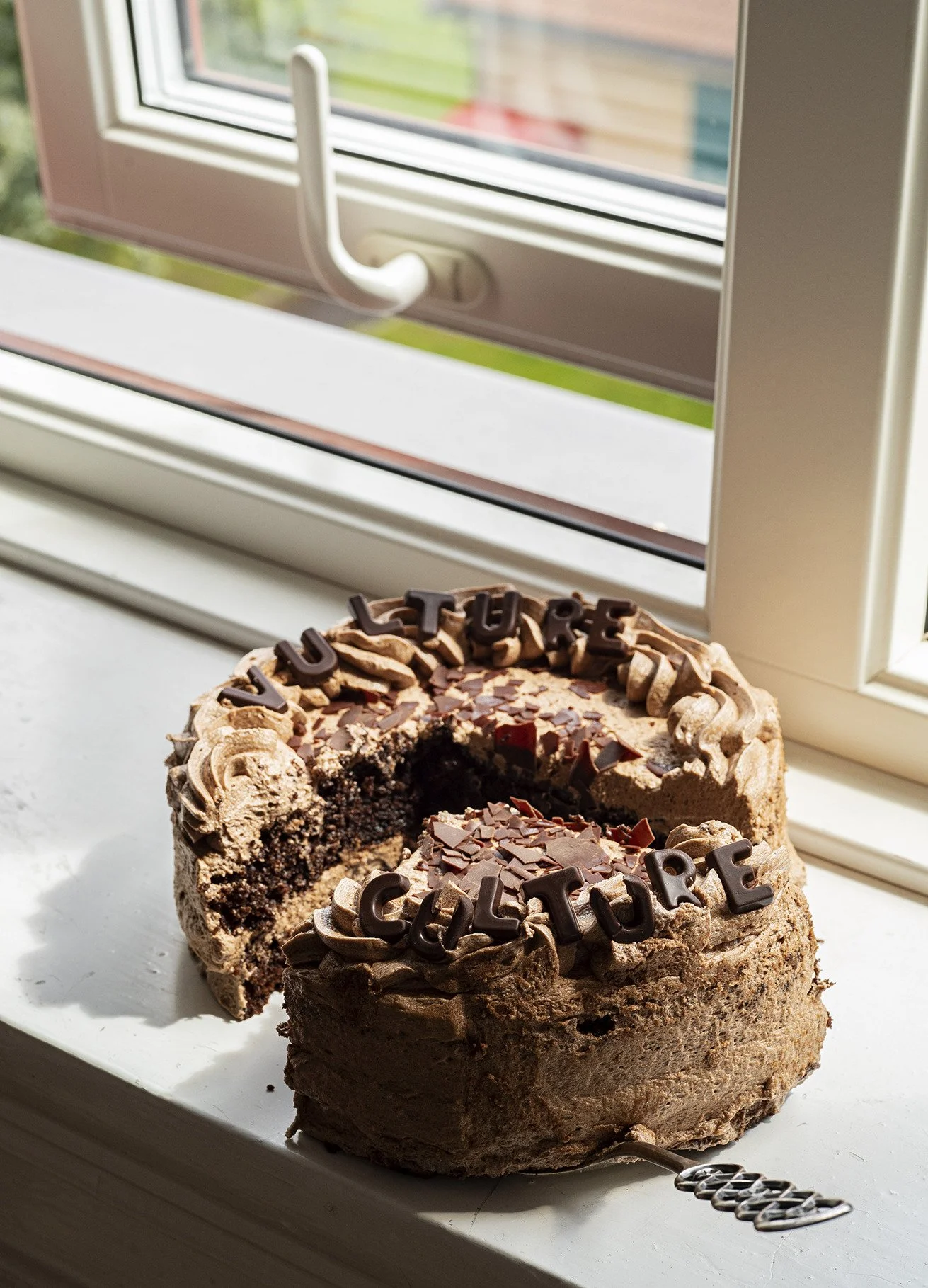 Chocolate birthday cake with the words 'VULTURE CULTURE' on top, partially sliced, sitting on a windowsill in front of a window.