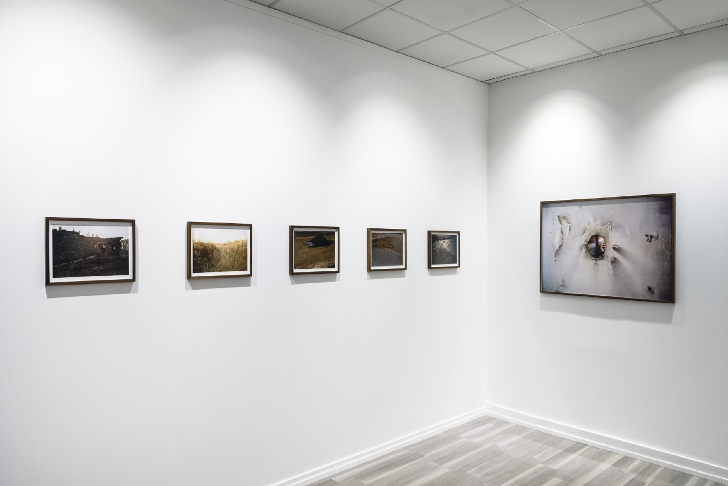 An art gallery featuring five landscape photographs on a white wall and a large abstract piece on the adjacent wall, with a light-colored wooden floor and a grid ceiling.