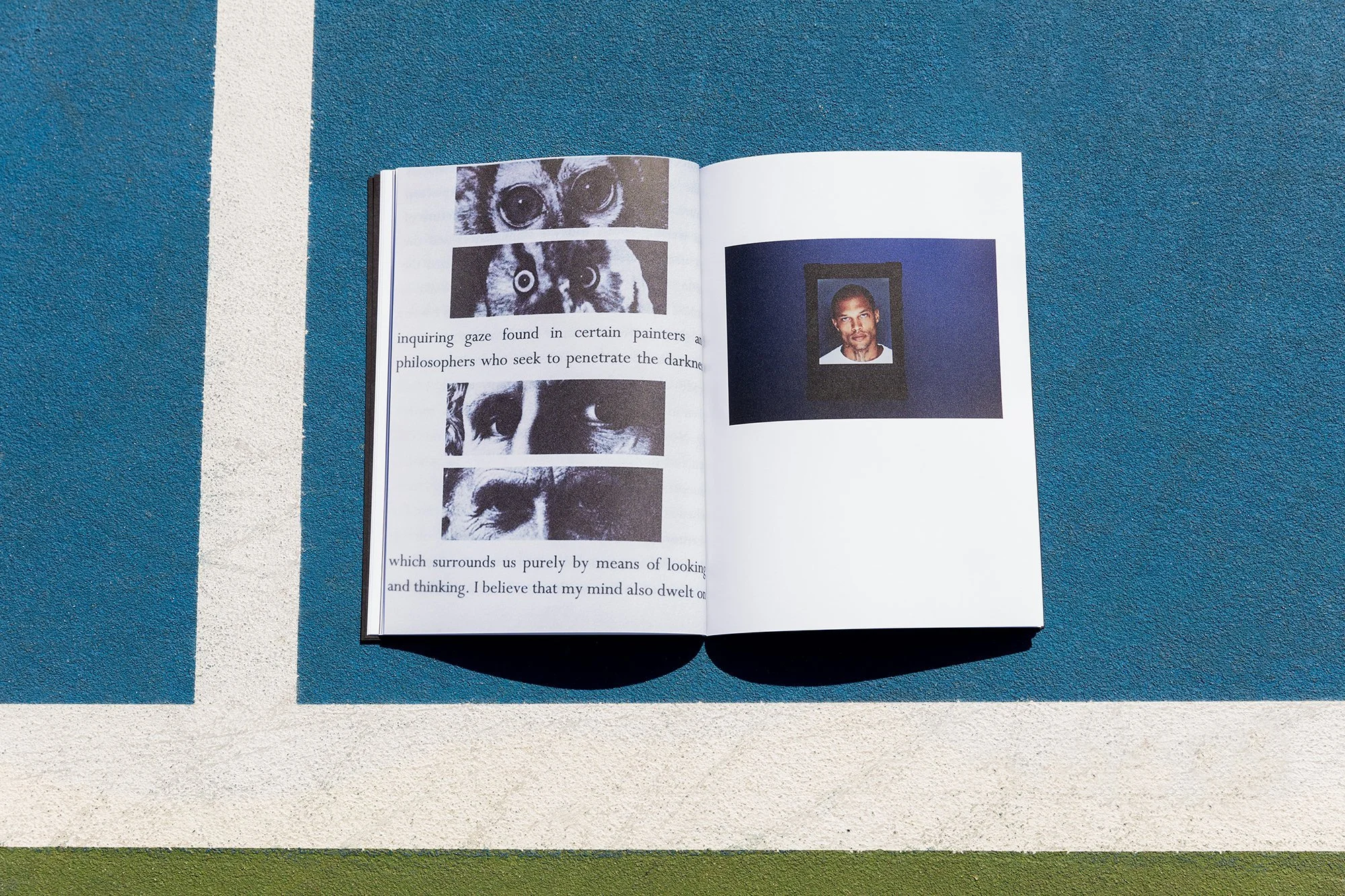An open book lying on a blue and white surface with a green border, showing black and white photos of animal eyes and a portrait of a man.