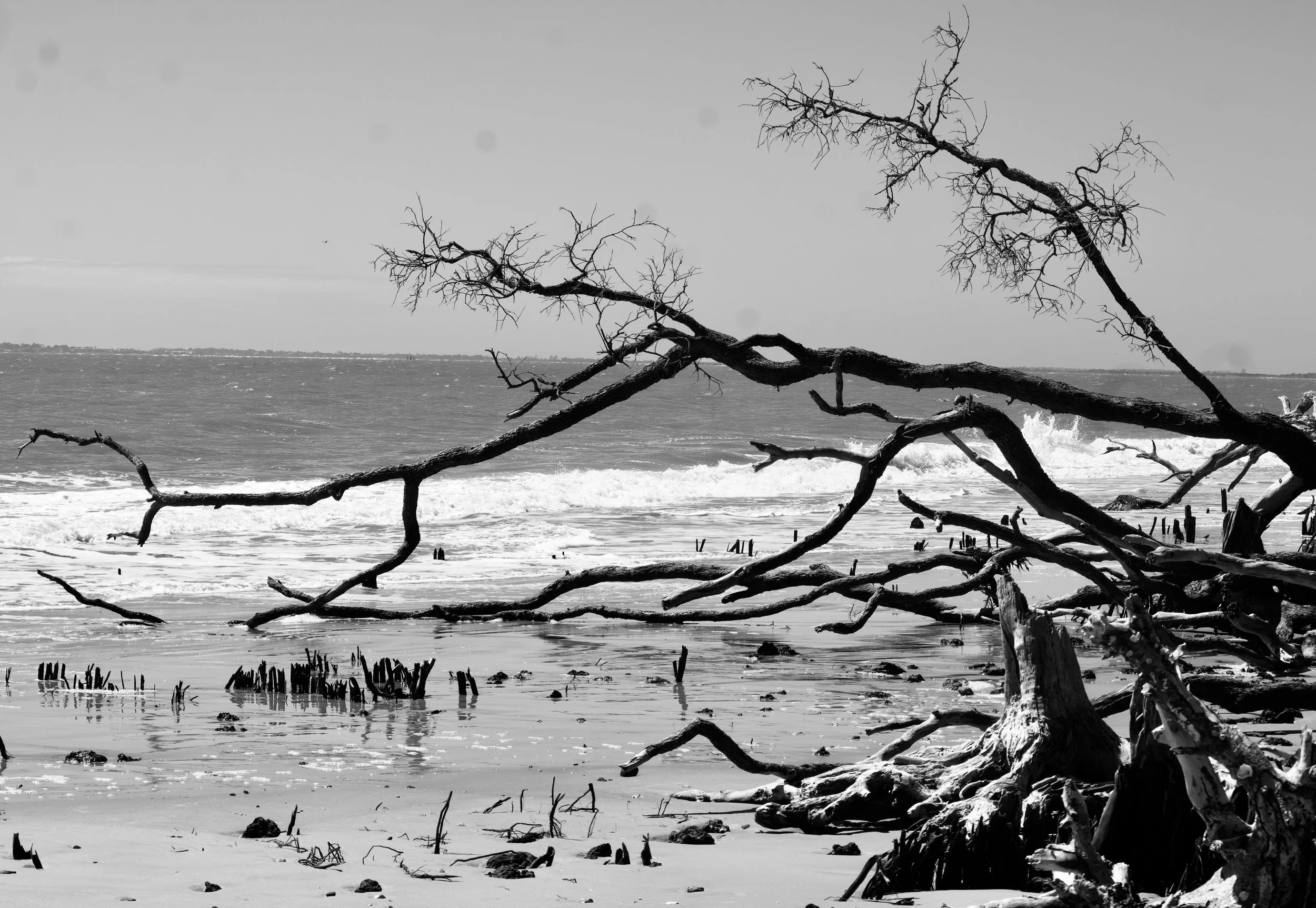 From Micro-Course to Opportunity — What Comes Next?