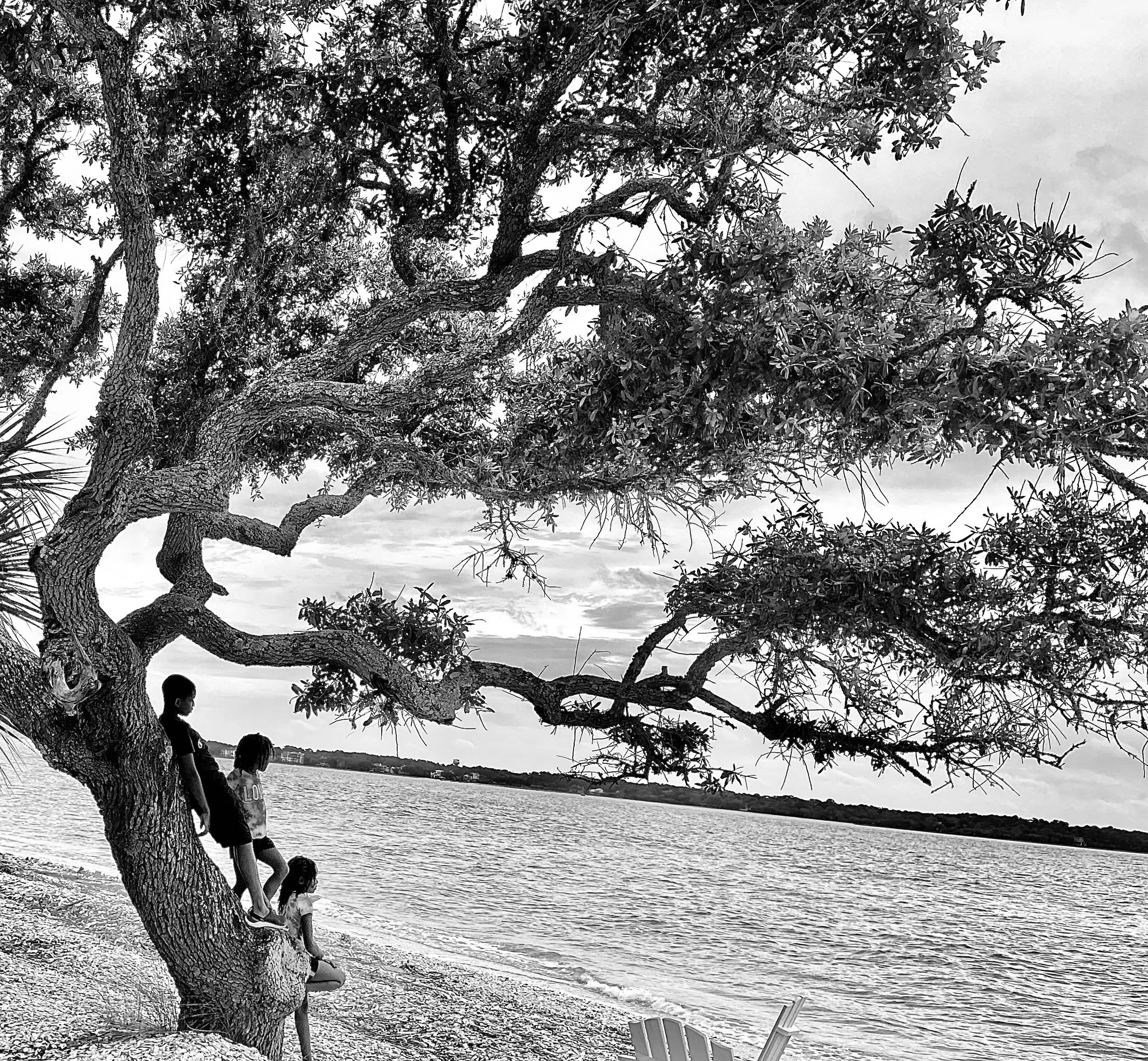 How to Structure a Micro-Course for Engagement