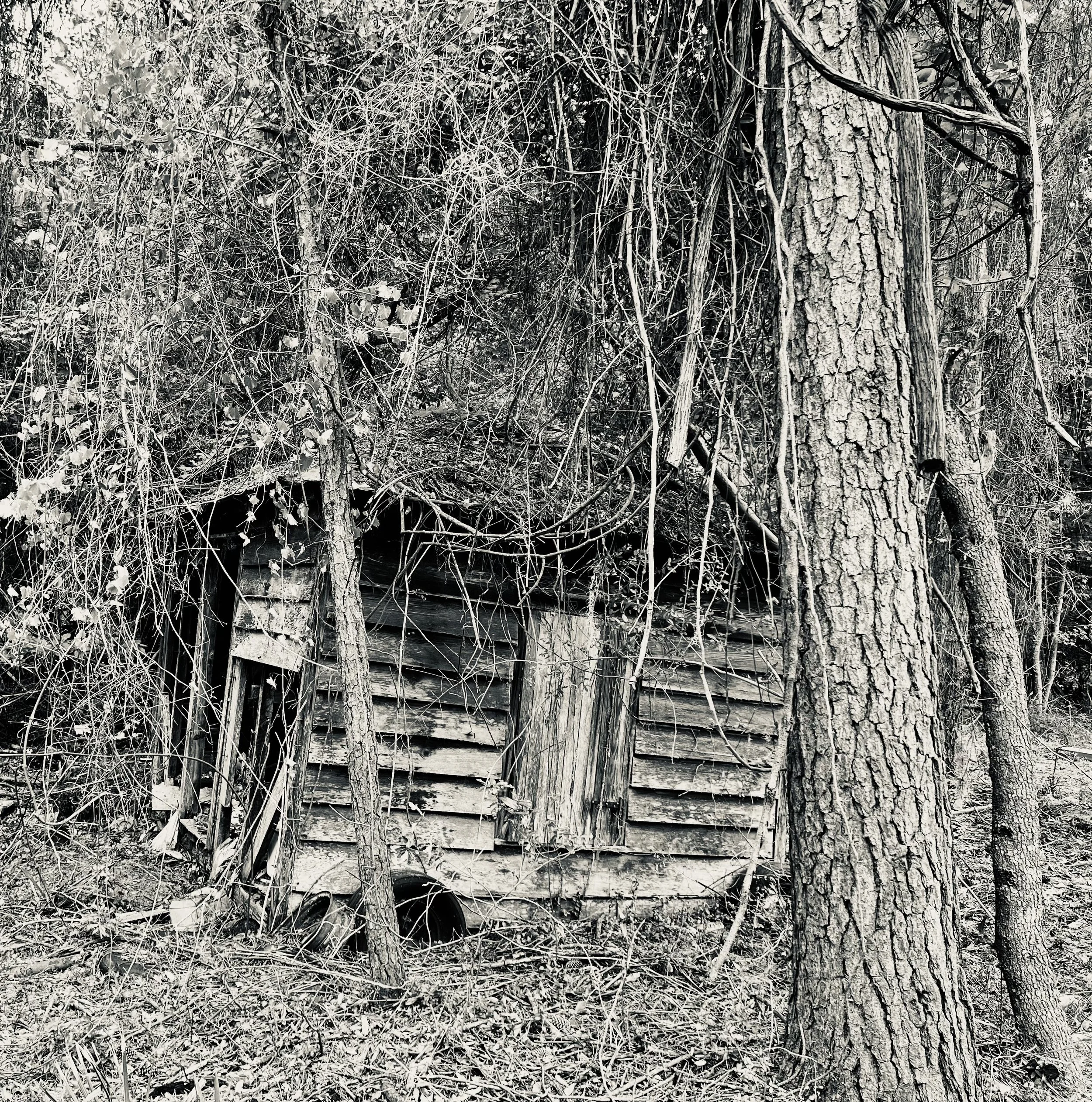 How to Turn Your Idea into a Micro-Course Outline