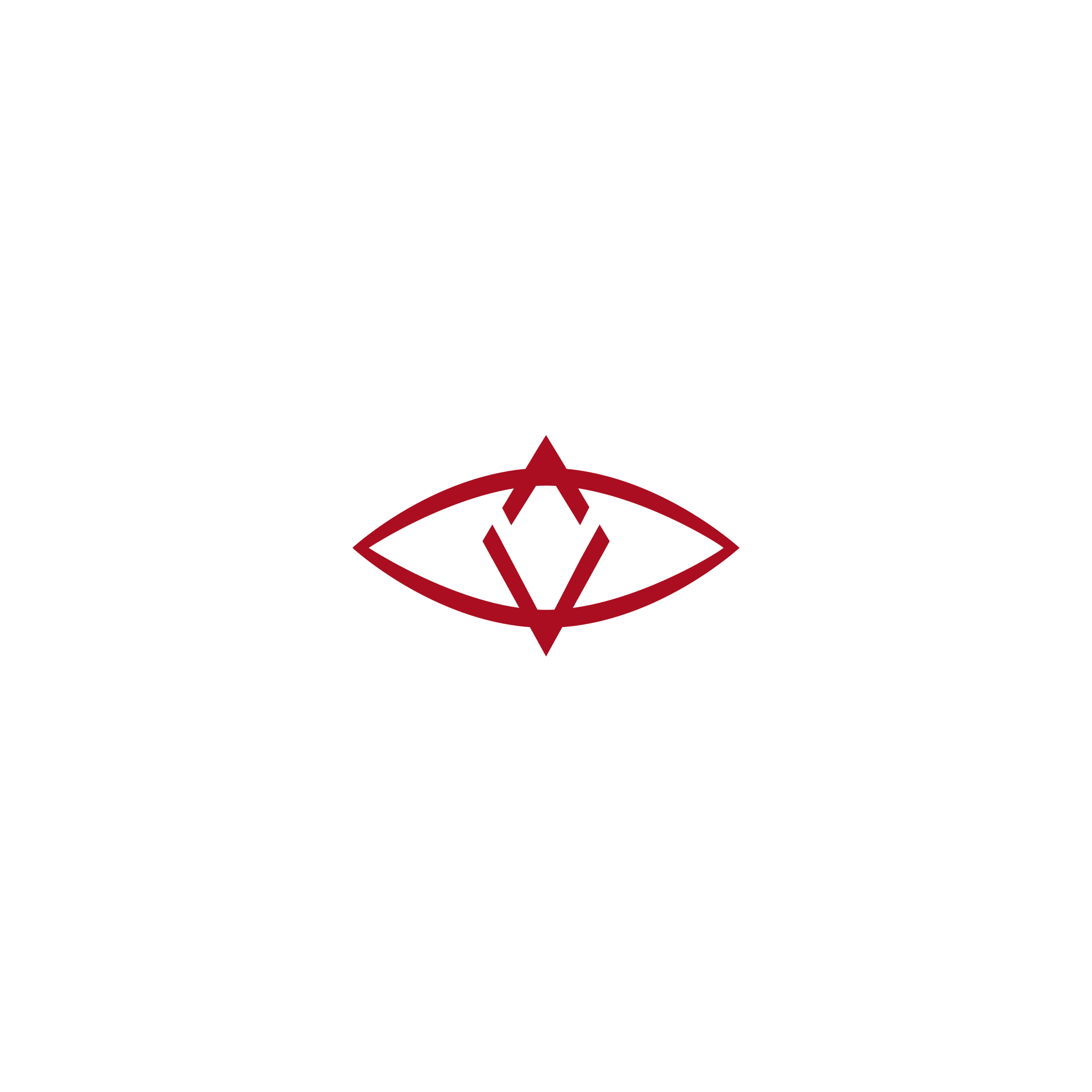 Singular_V01.png