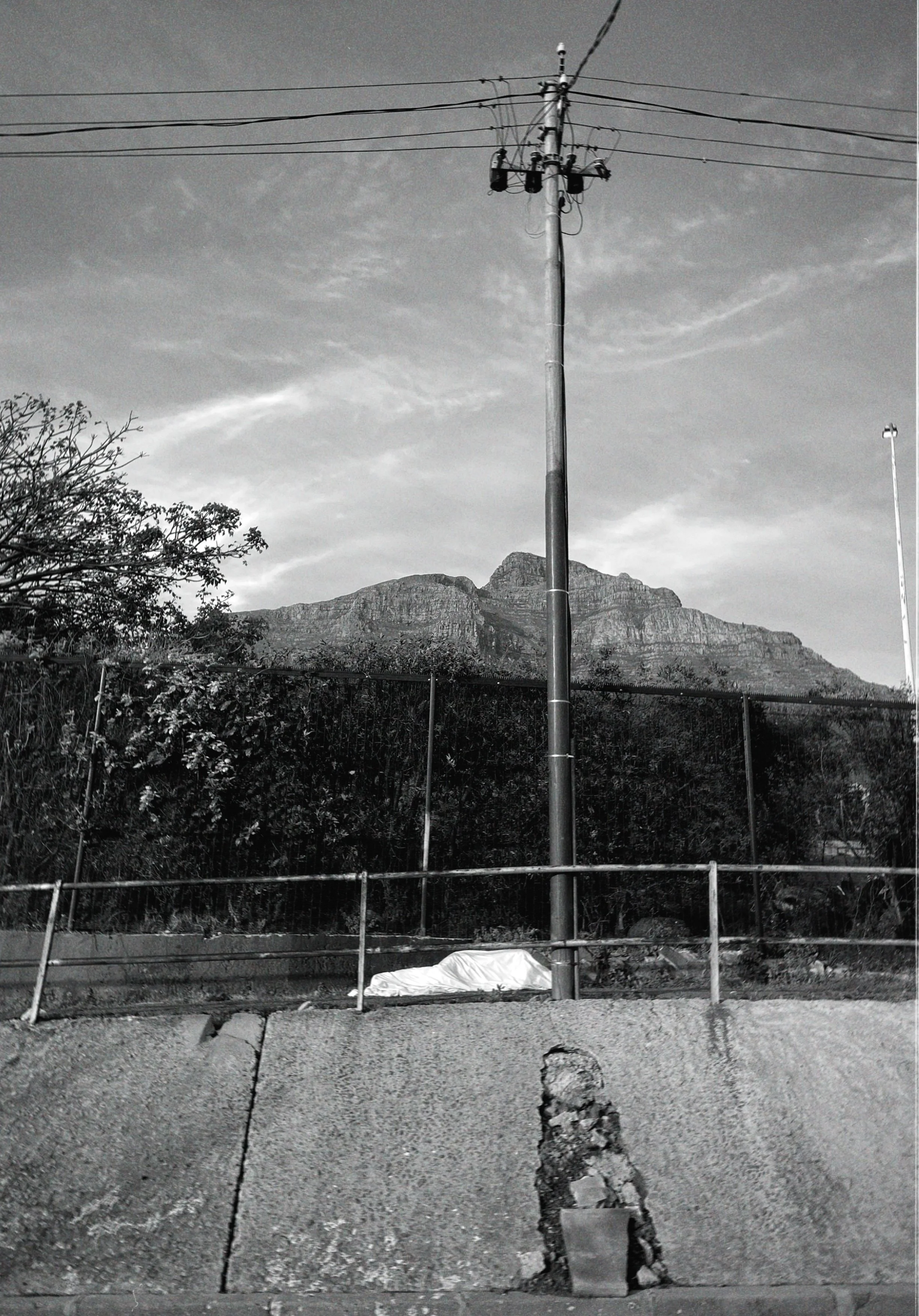 dblack 2024-08-07 120803.119.jpg