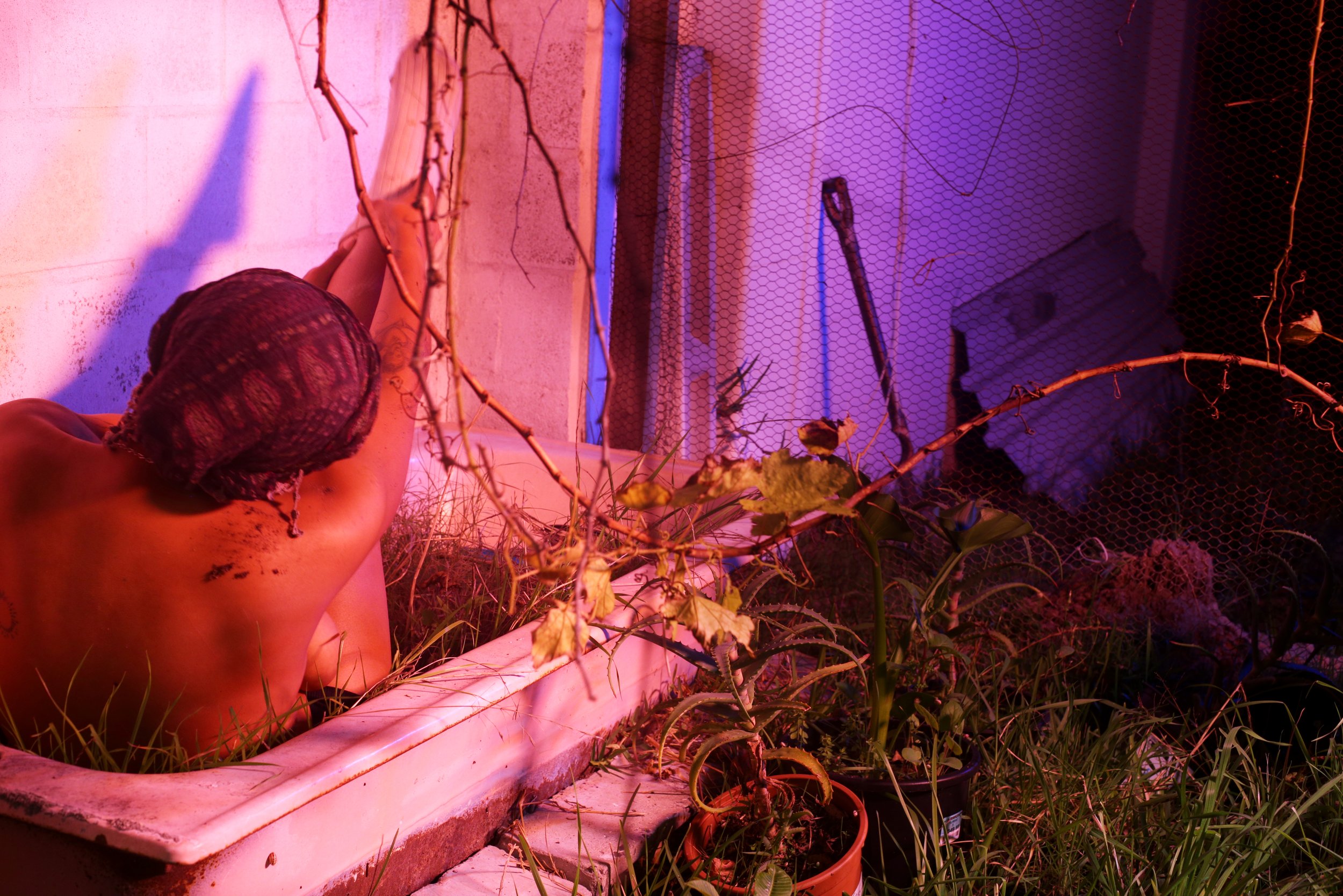 A person with a head covering and tattoos, seen from behind, sitting in a small bathtub filled with dirt and plants, surrounded by overgrown grass, illuminated by pink and blue lighting.