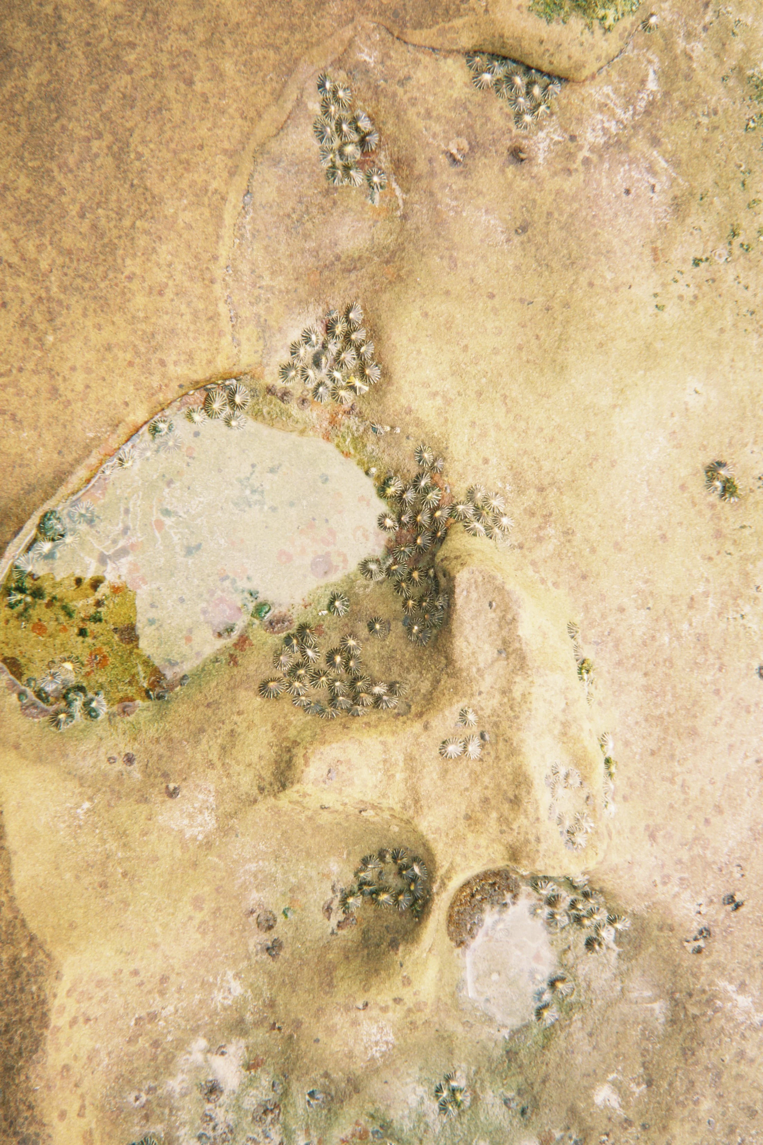 fqs 2025-01-01 093733.757.JPG