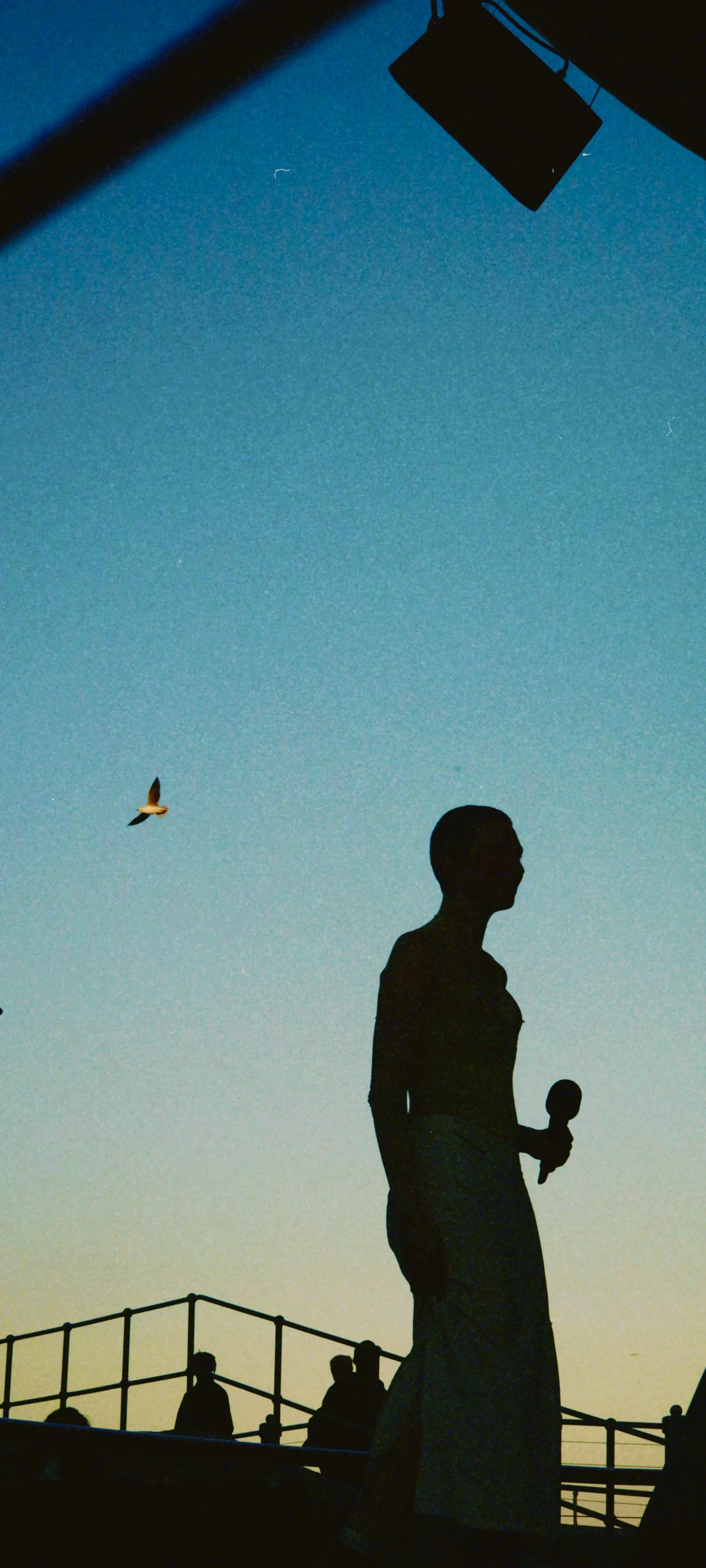 Silhouette of a person holding a microphone standing on a stage against a twilight sky, with a bird soaring and people in the background.