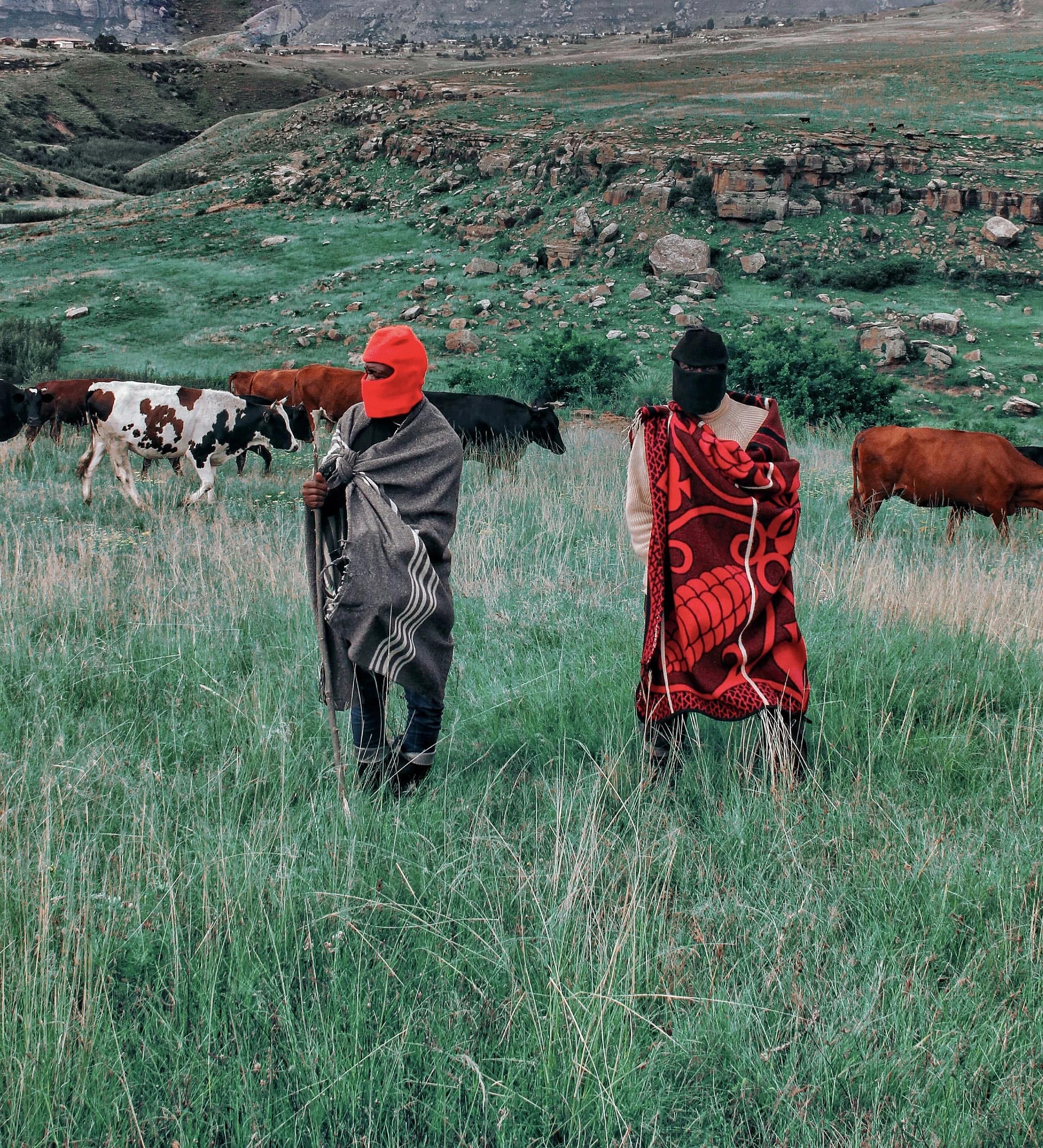 Photo 2024-05-15, 14 51 39.jpg