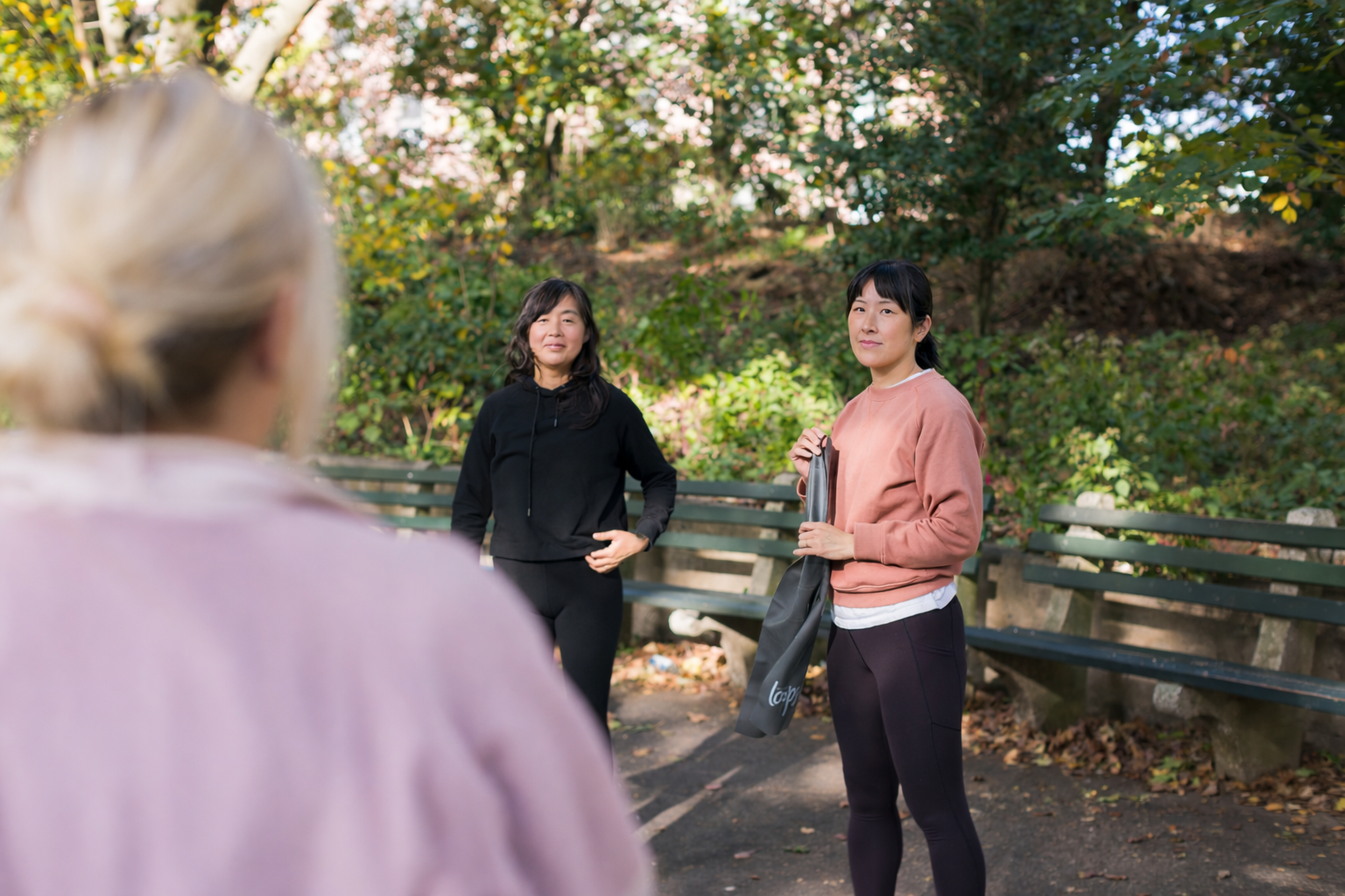 Strength Training for middle age women and friends