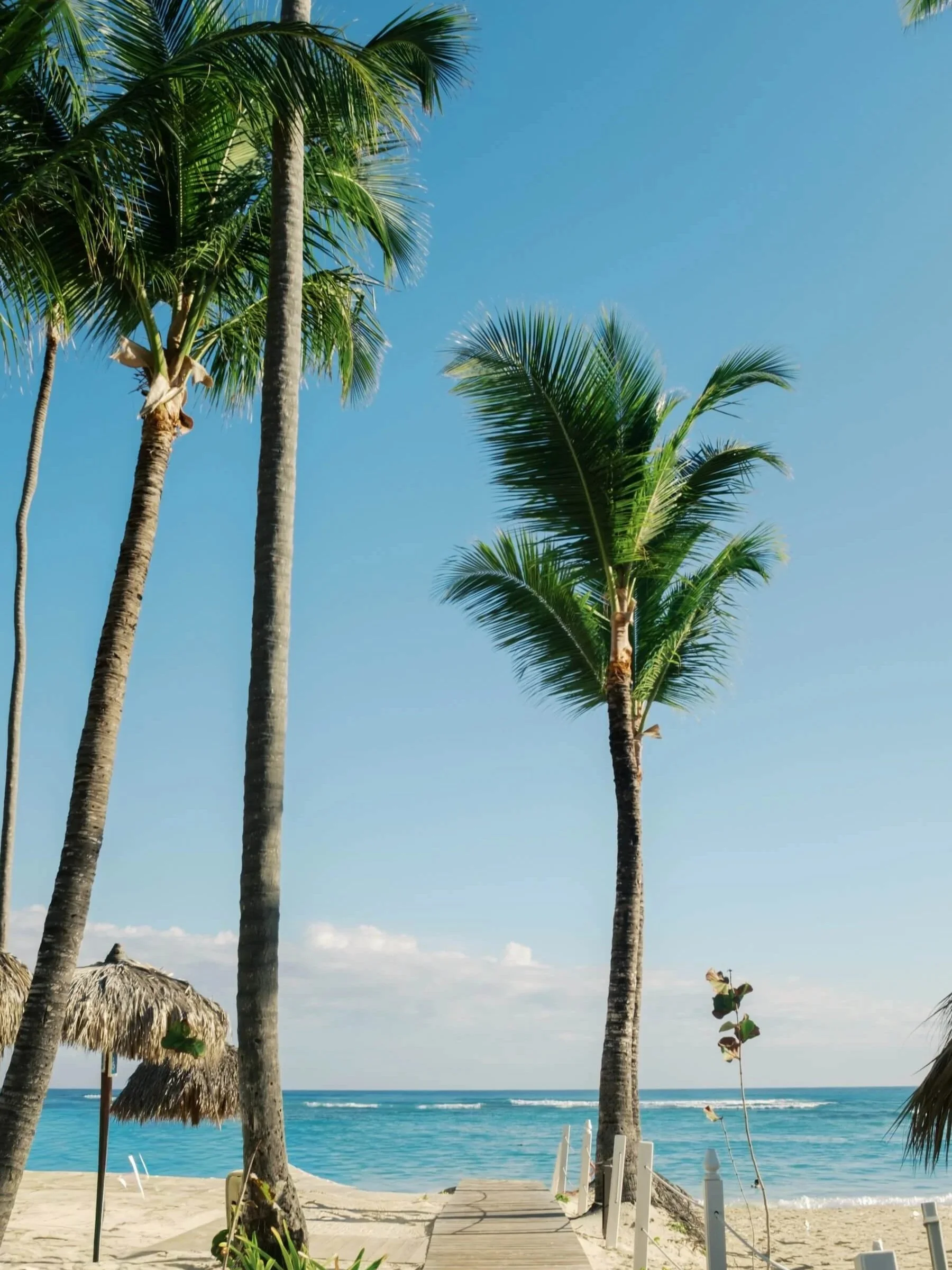 sorci-ledyukova-documentary-wedding-photographer-puntacana-14.jpg