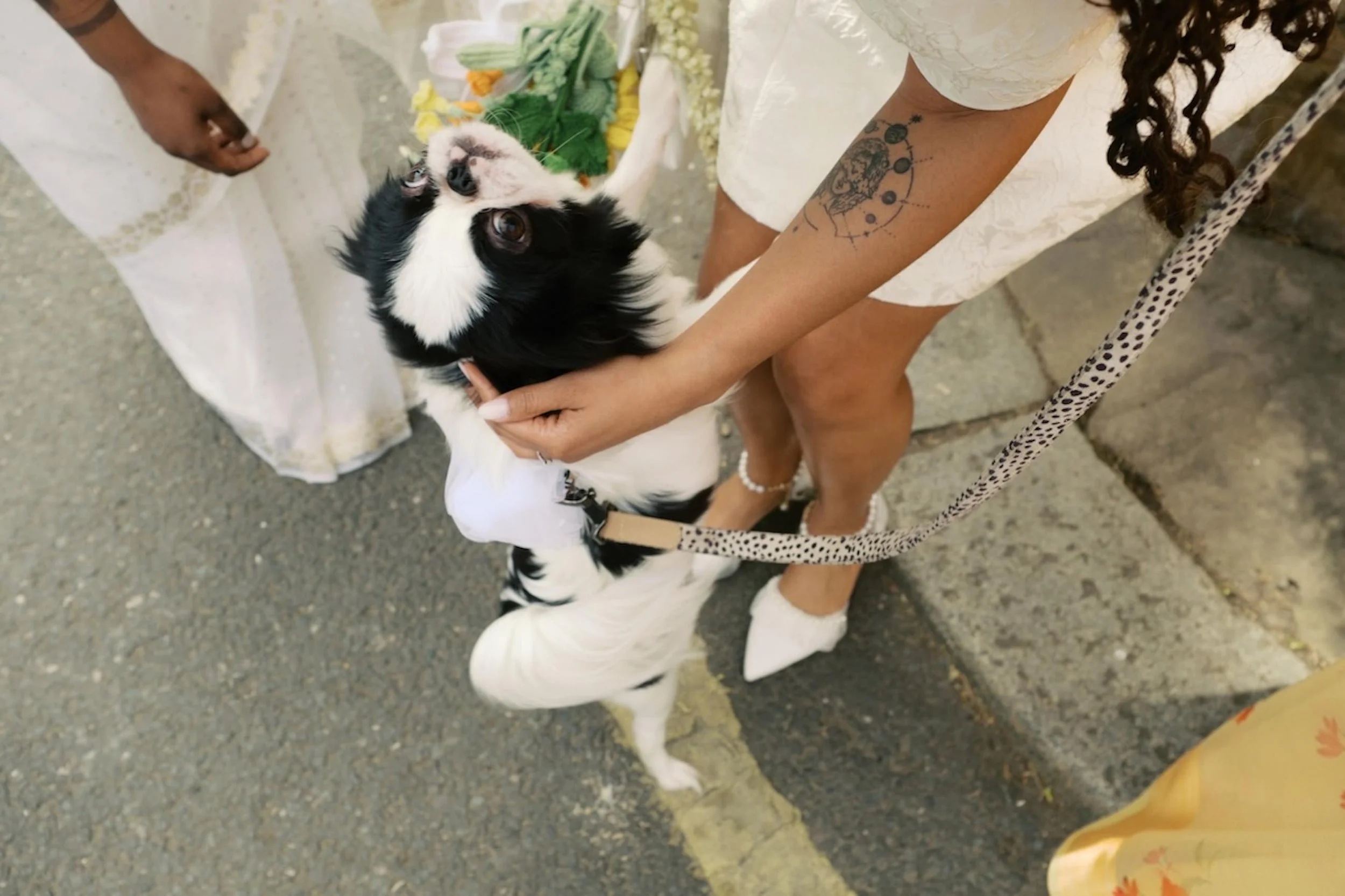 London-Weding-Photography-Rhianna&Keisha-London-Wedding-Wedding-Portraits-Sorci-Ledyukova-20.jpg