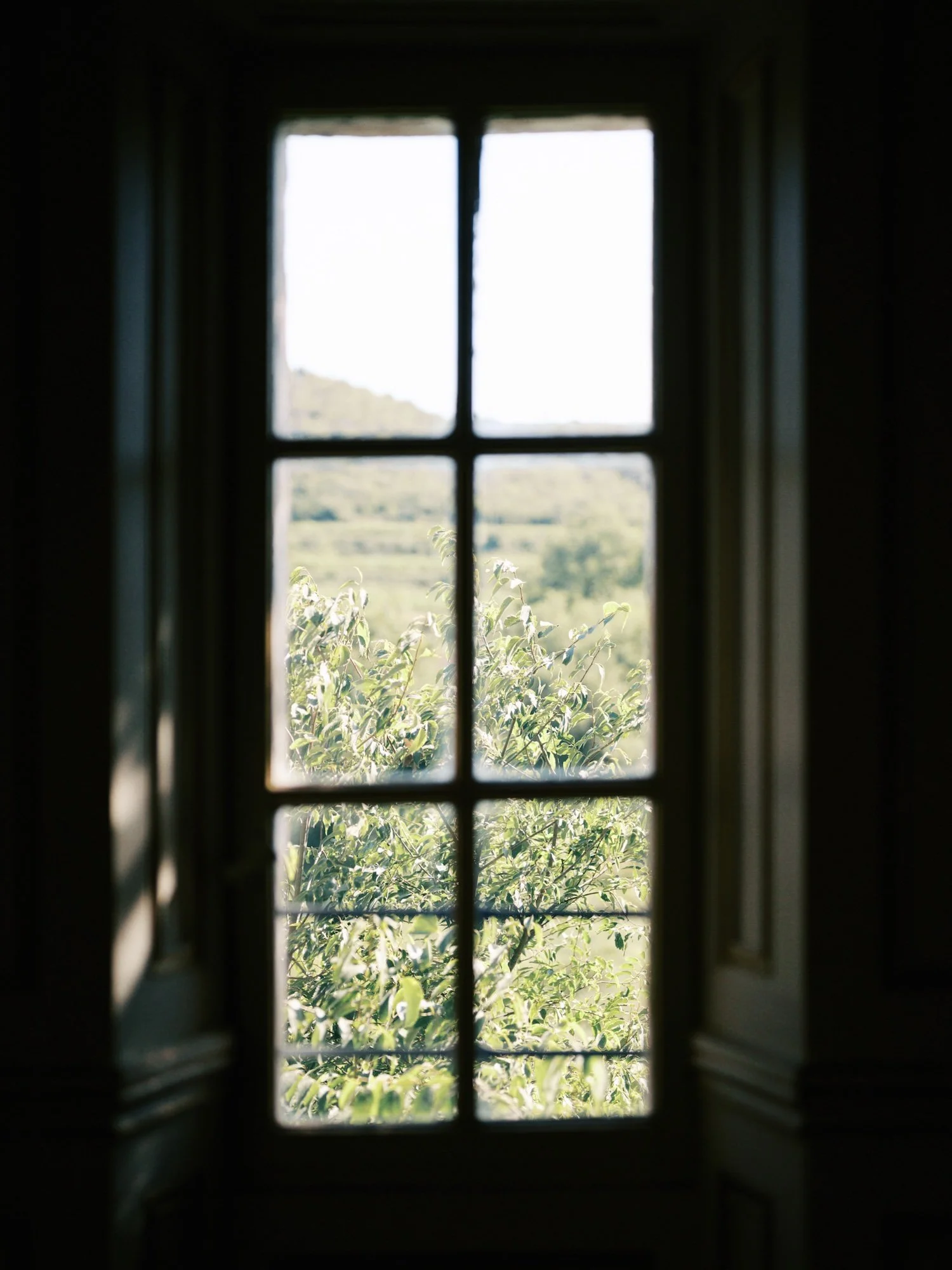 Sorci-Ledyukova-Château-Robernier-France-Destination-Wedding-Photographer-43.jpg
