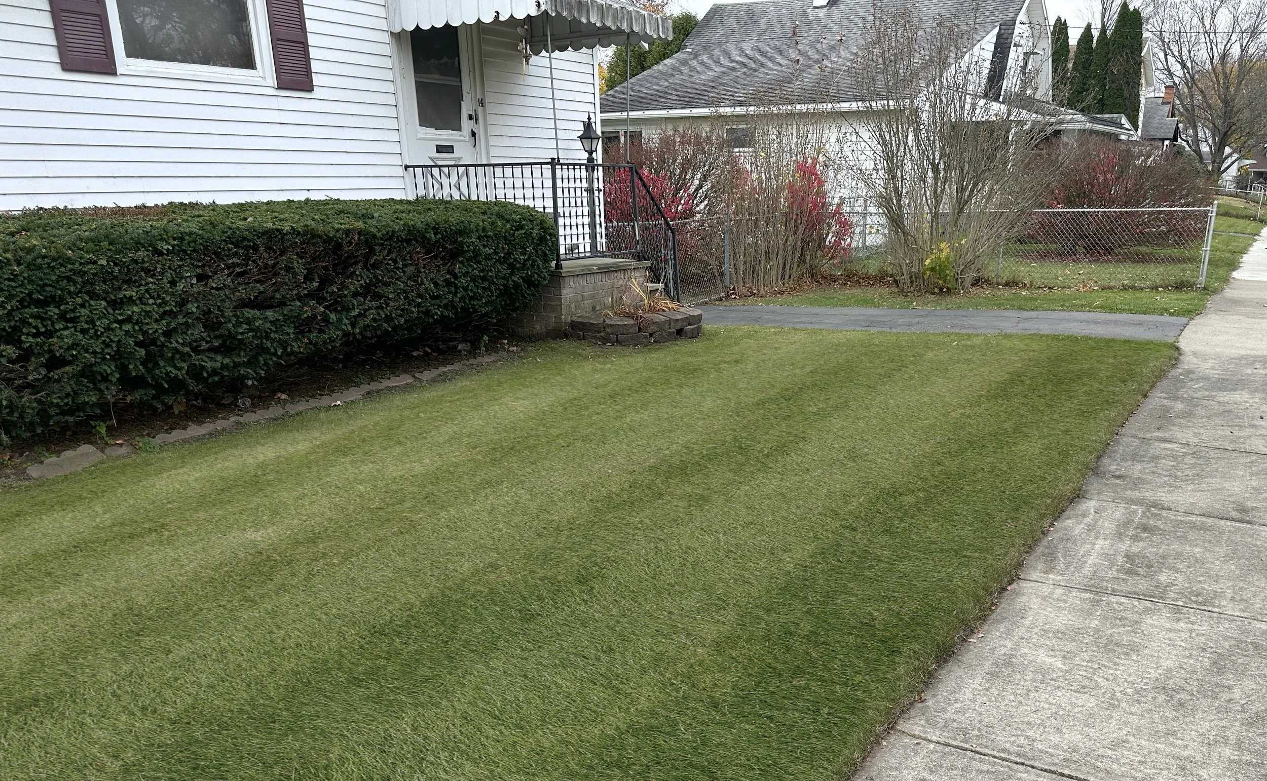 Lawn 10.jpg