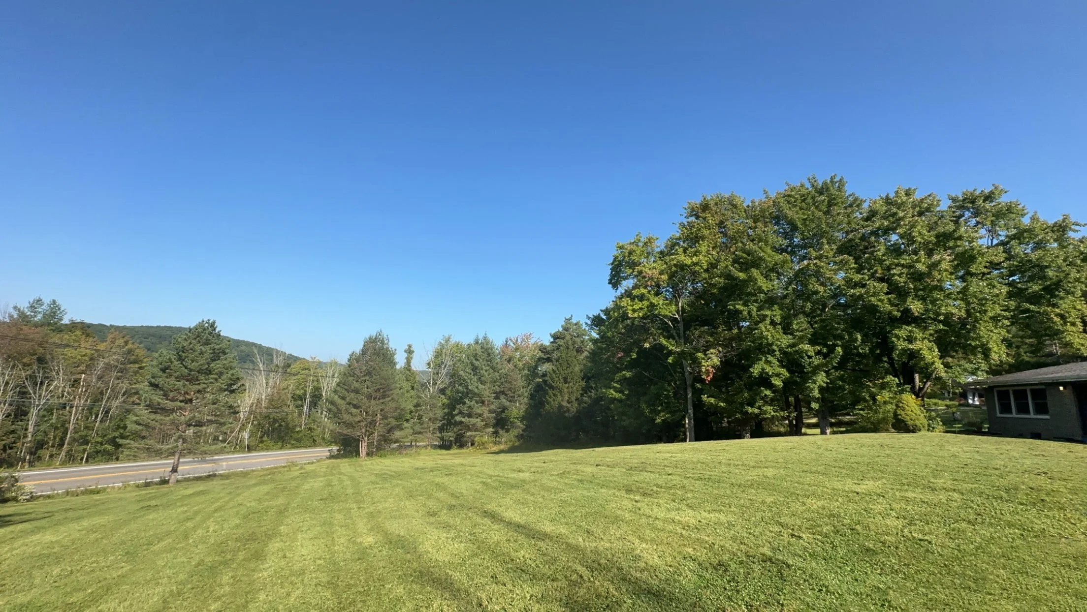 Lawn 13.jpg