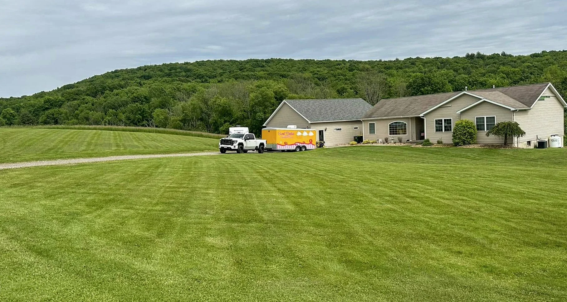 Lawn 9.jpg