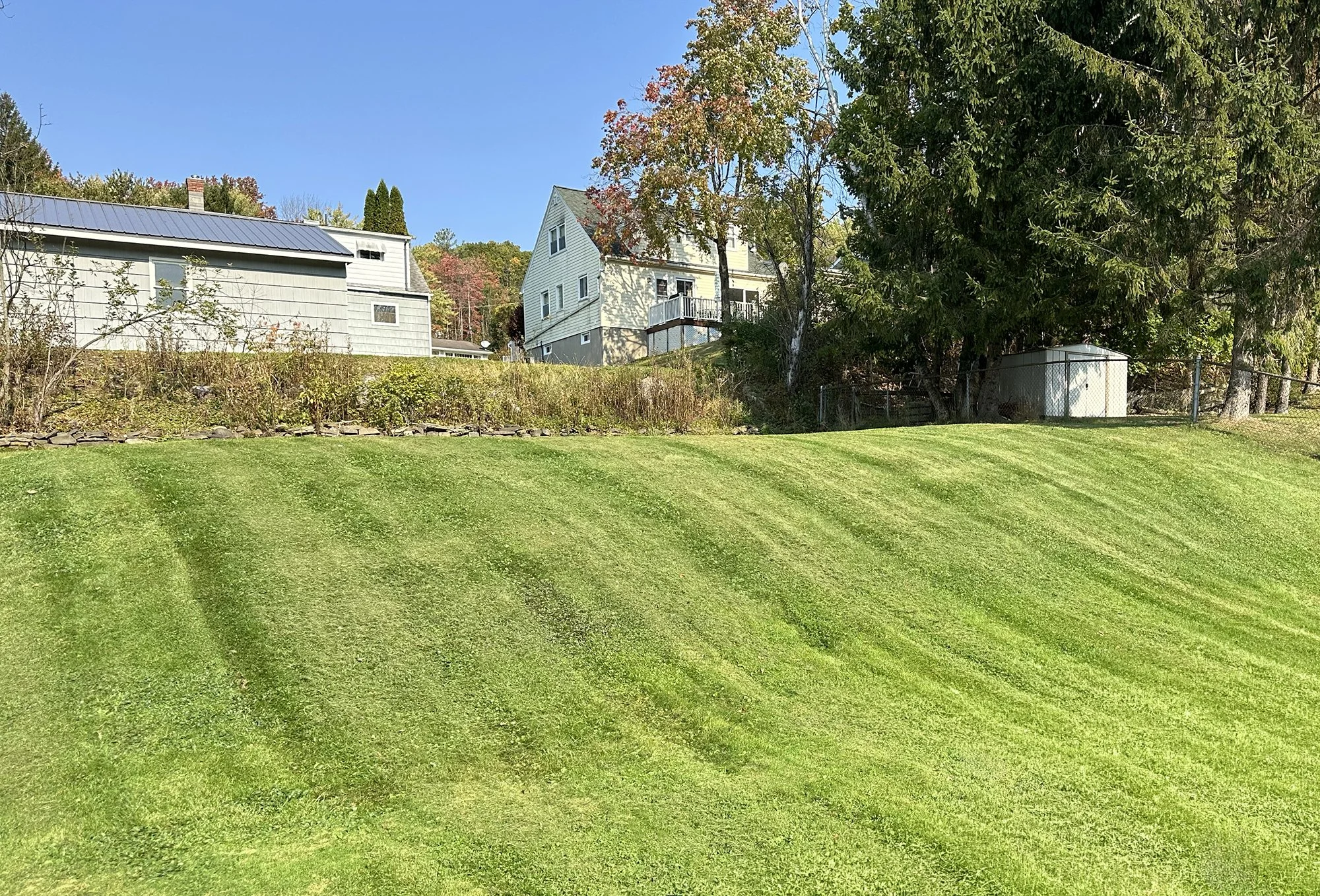 Lawn 11.jpg