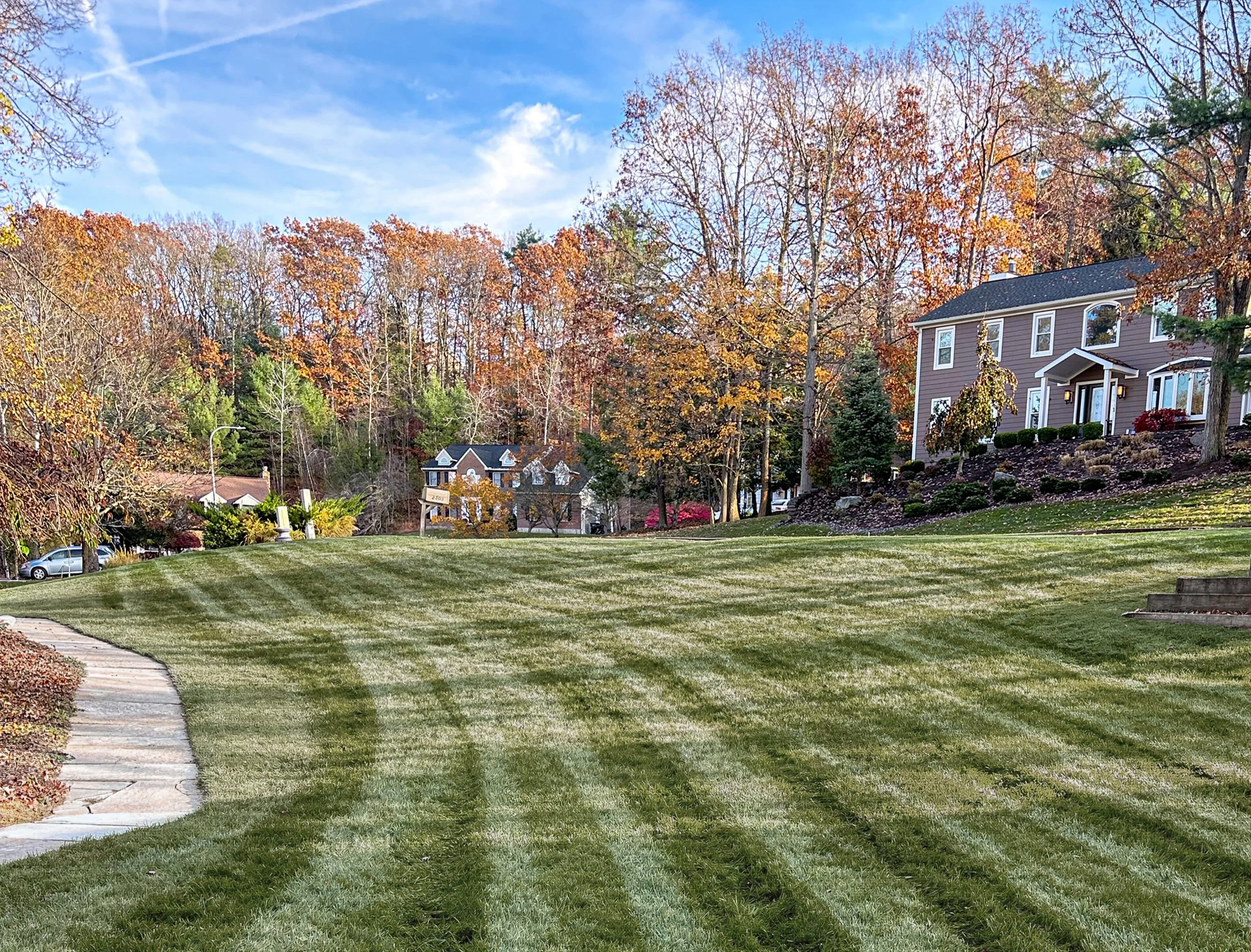 Lawn 7.jpg