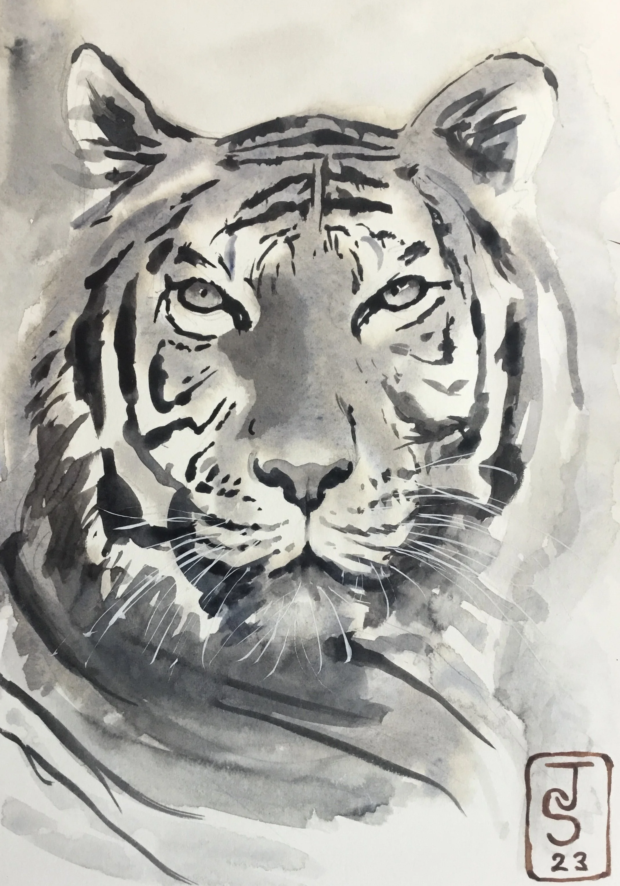 A black and white ink or watercolor painting of a tiger's face with intense eyes, detailed stripes, and a calm expression, signed with initials and the year 2023.
