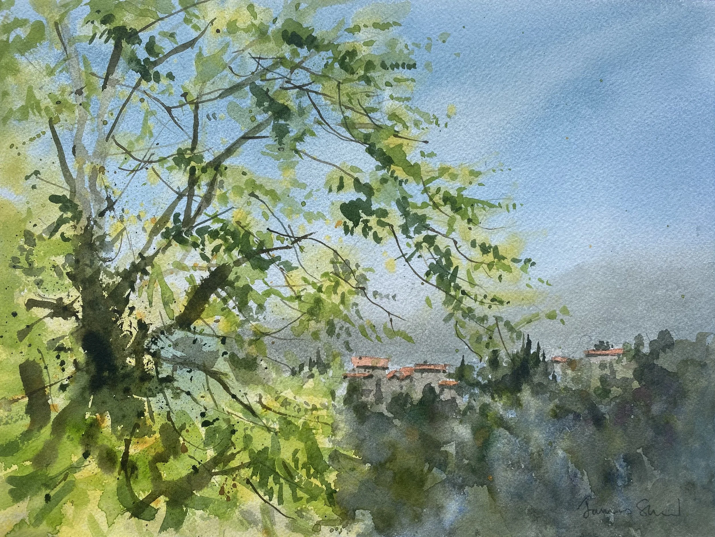 A tree with bright yellow-green leaves fills the composition and contrasts with the more mute colors of the distant hillside which is topped with a village