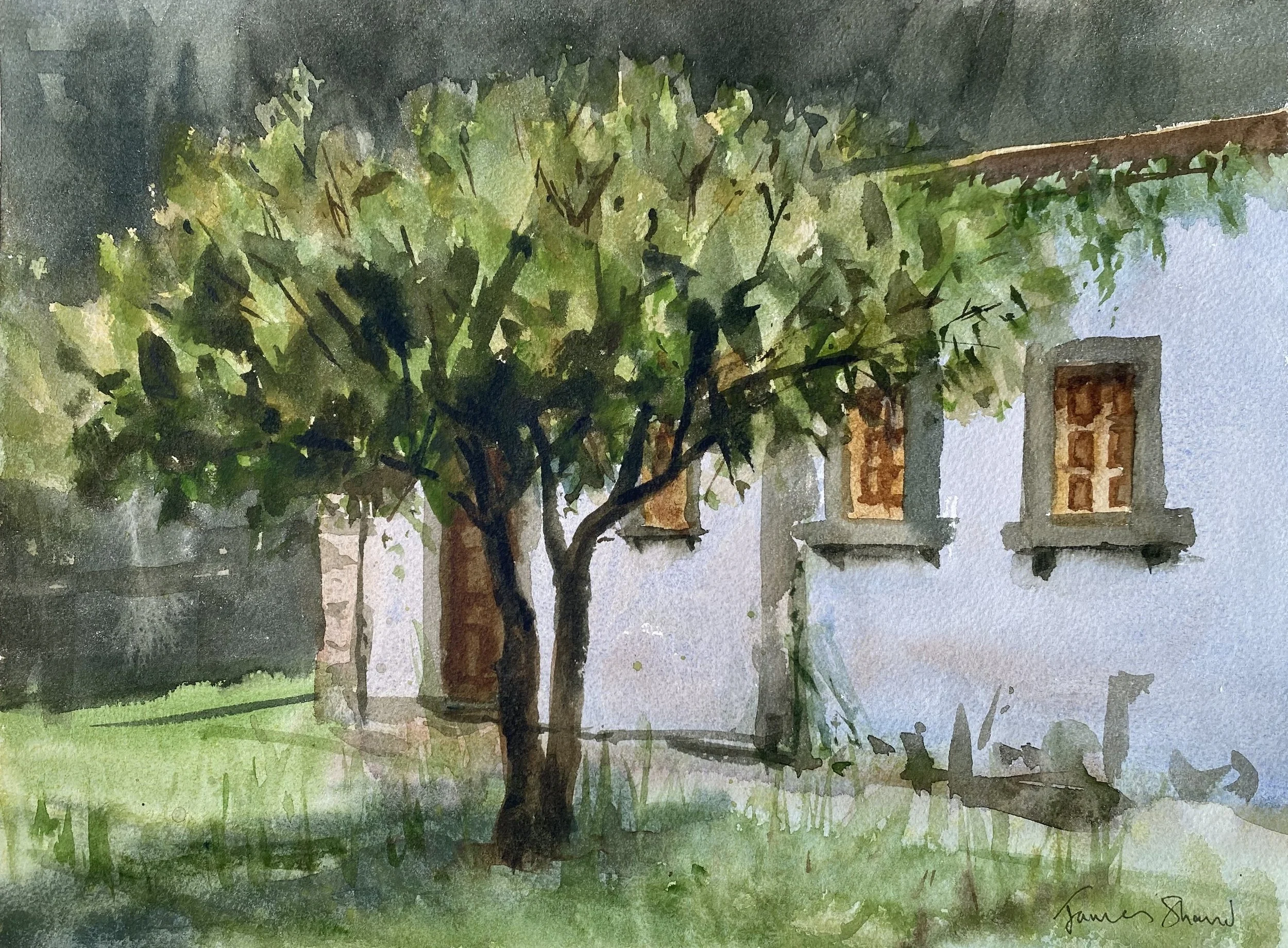 In the garden of the Convento