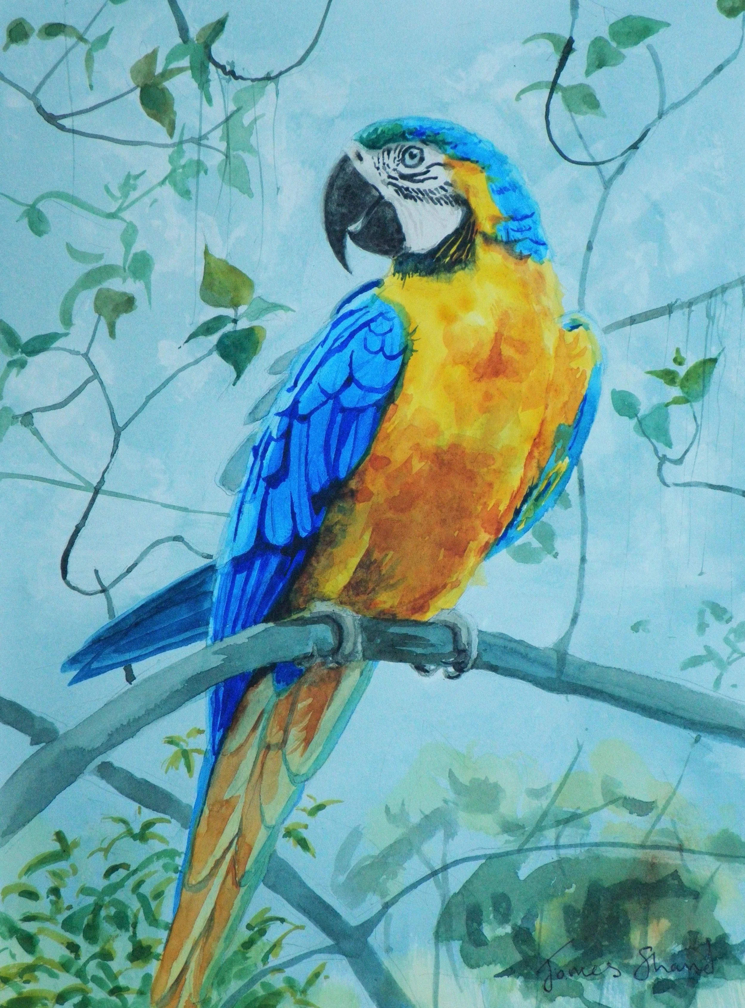 Watercolor painting of a colorful macaw perched on a branch with green leaves in the background.