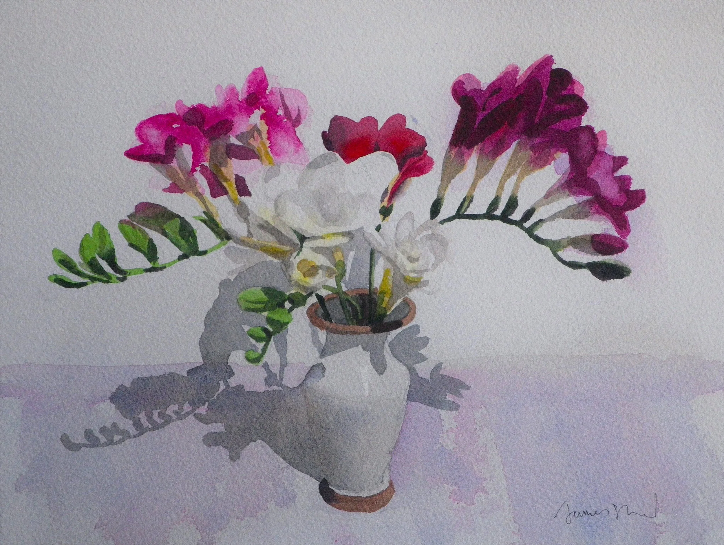 Watercolor painting of a white ceramic vase holding pink, red, and purple flowers with green leaves, placed on a table with a shadow cast on the surface.