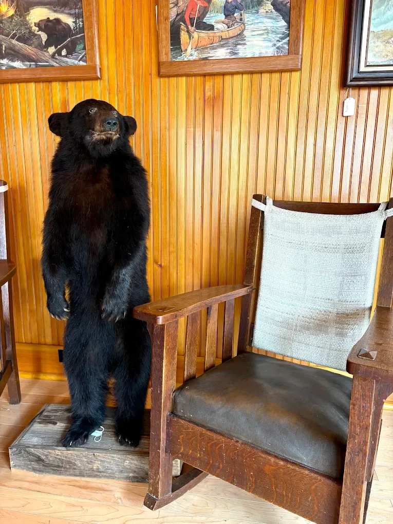 Stuffed bear standing on a wooden platform indoors, next to a wooden armchair with a white fabric backrest, against wood-paneled walls with framed paintings of outdoor scenes.