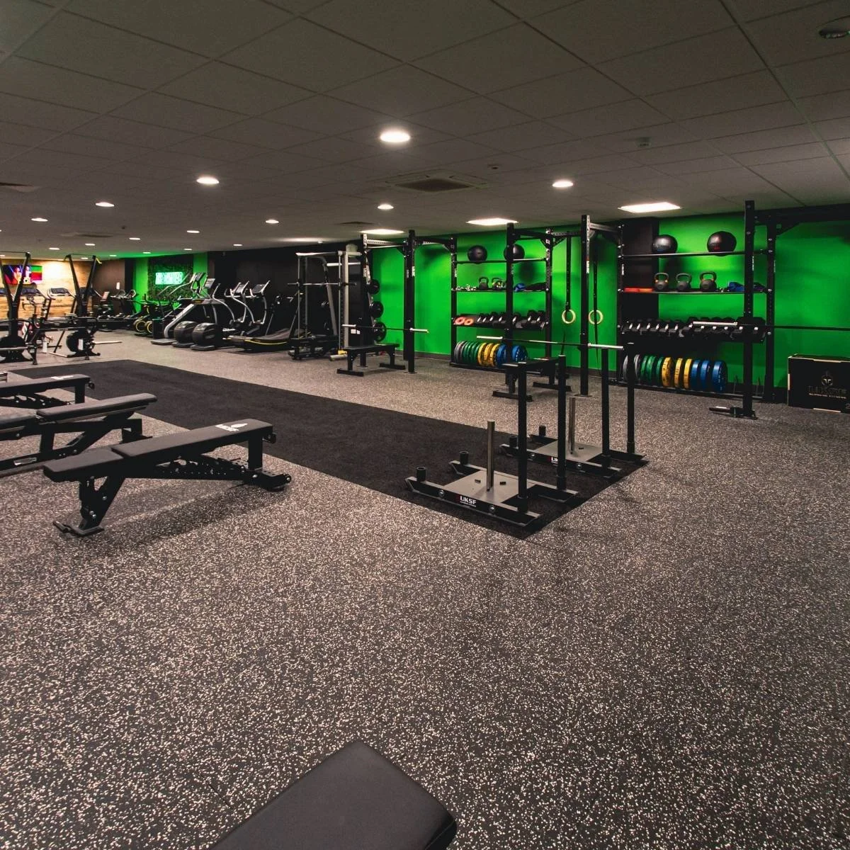Internal image of The Gym Lab